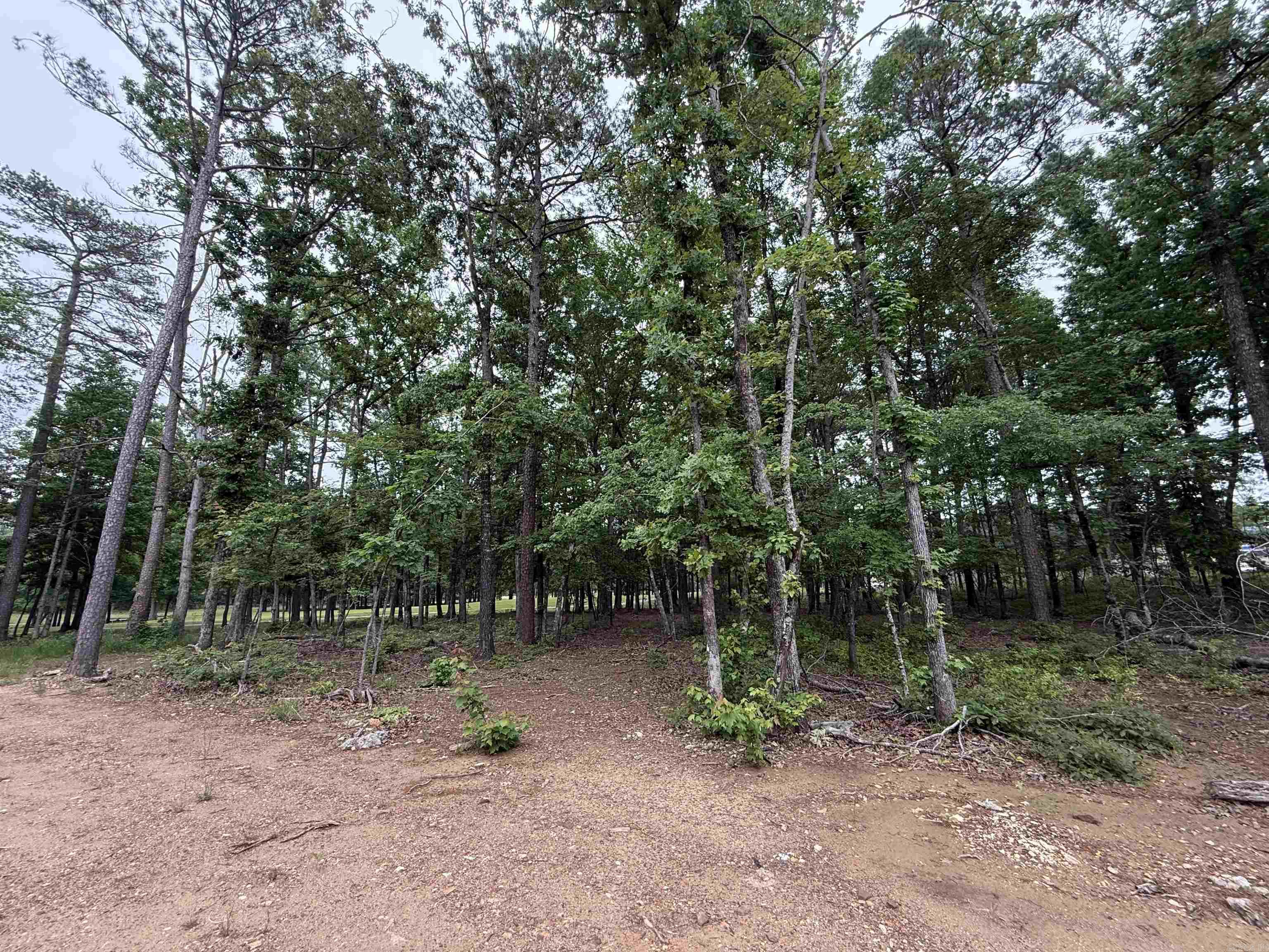 24 Miramont  Little Rock, AR