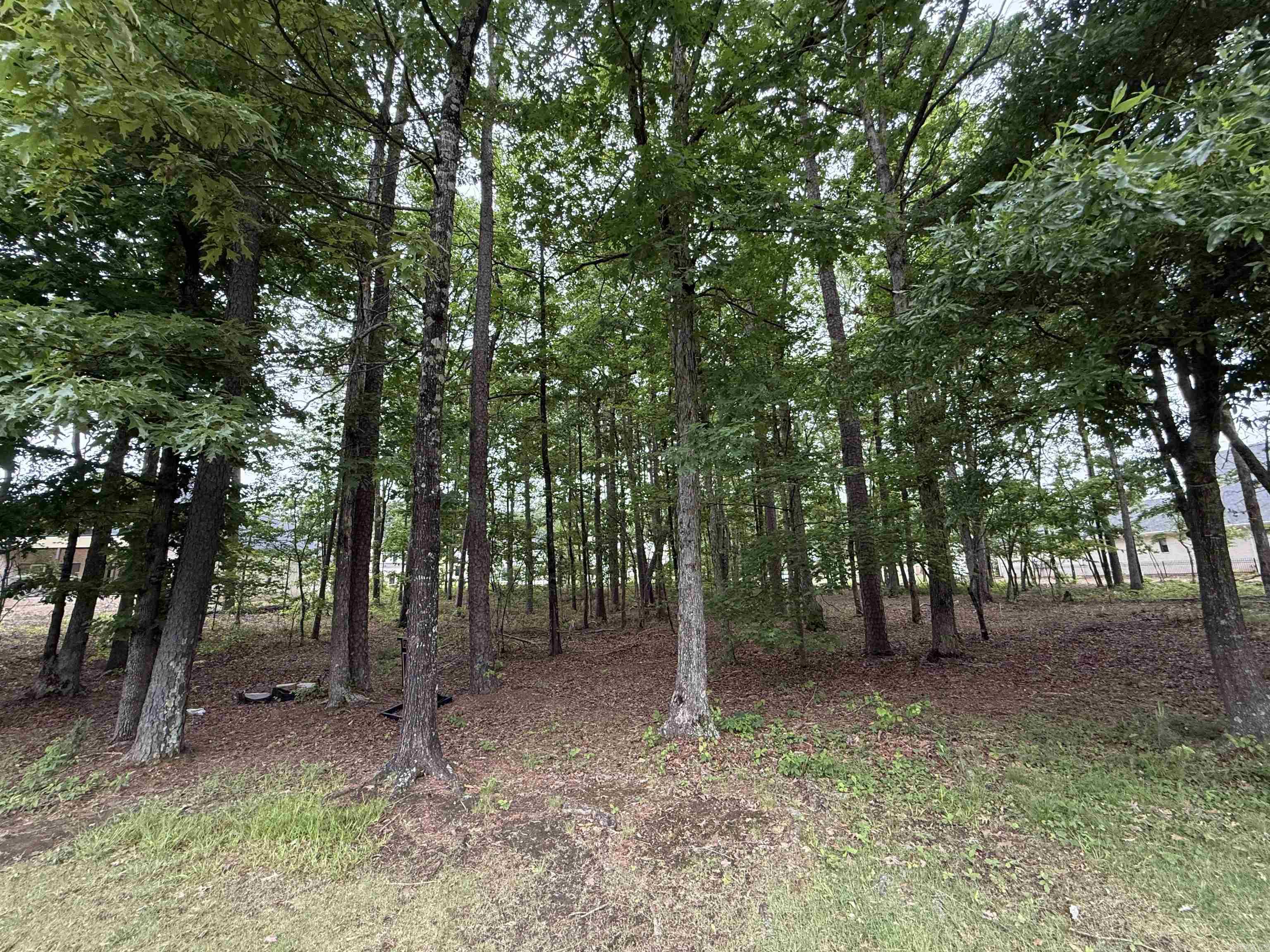 26 Miramont  Little Rock, AR