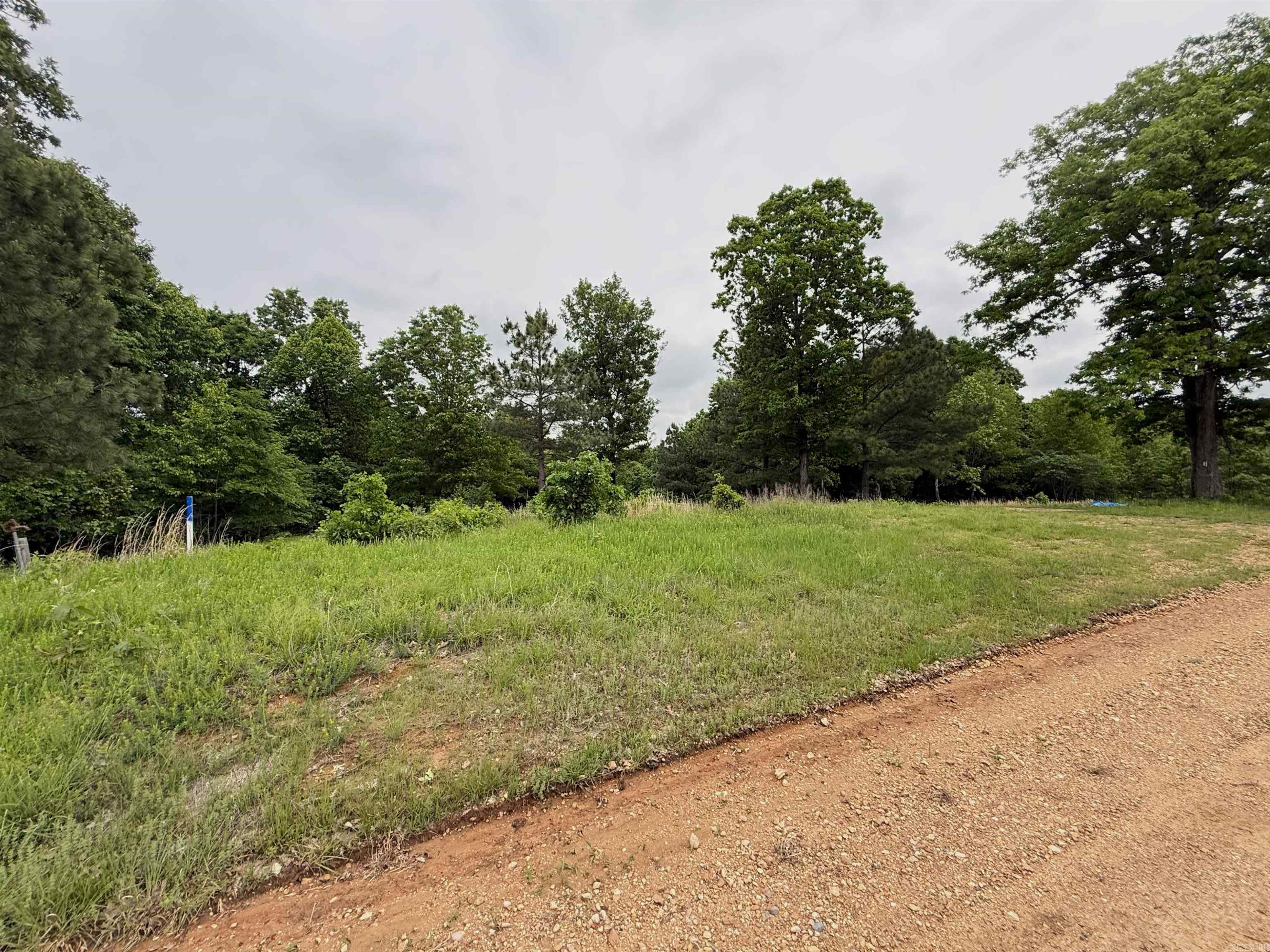 197 County 426  Rector, AR