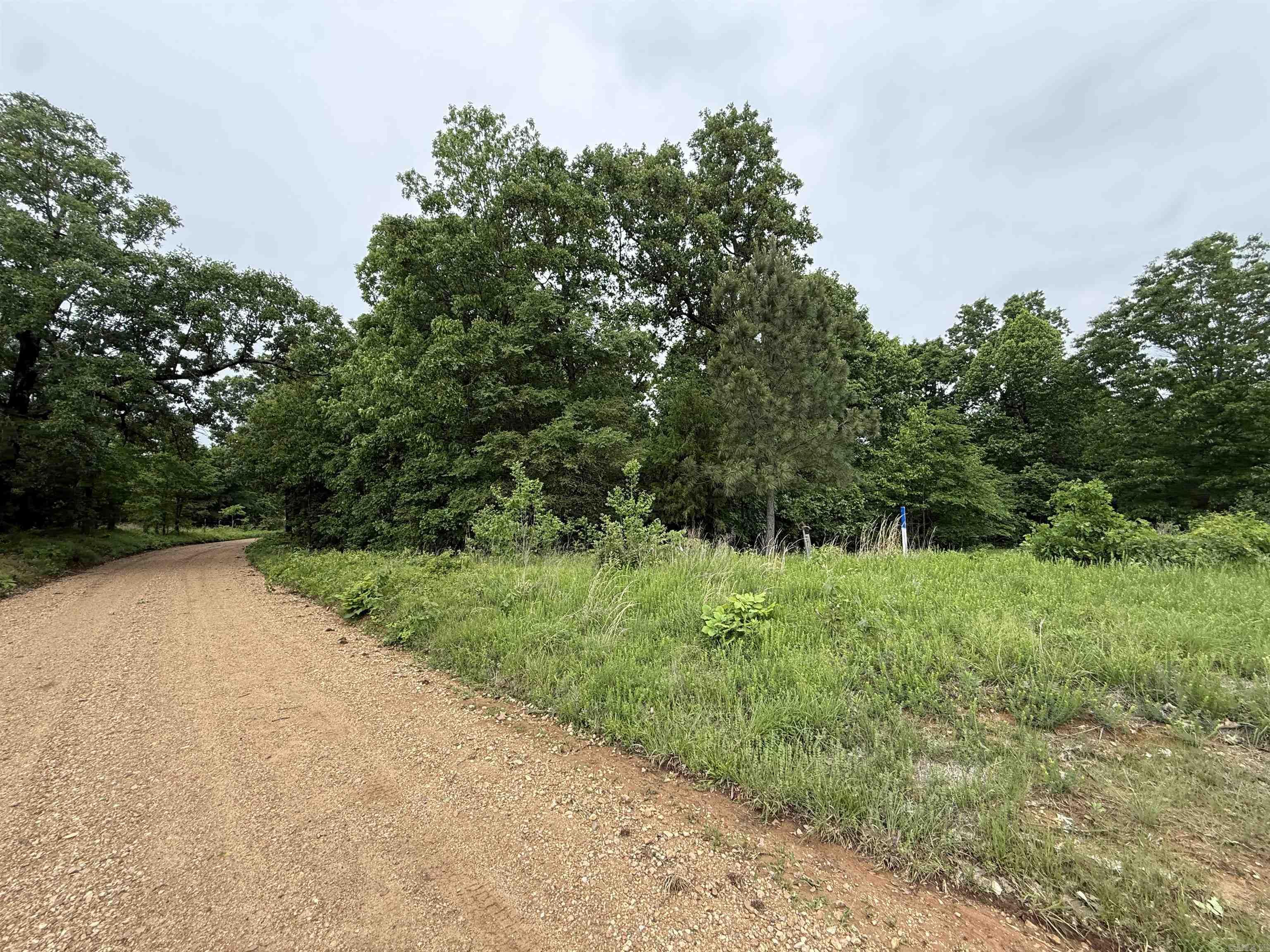 197 County 426  Rector, AR