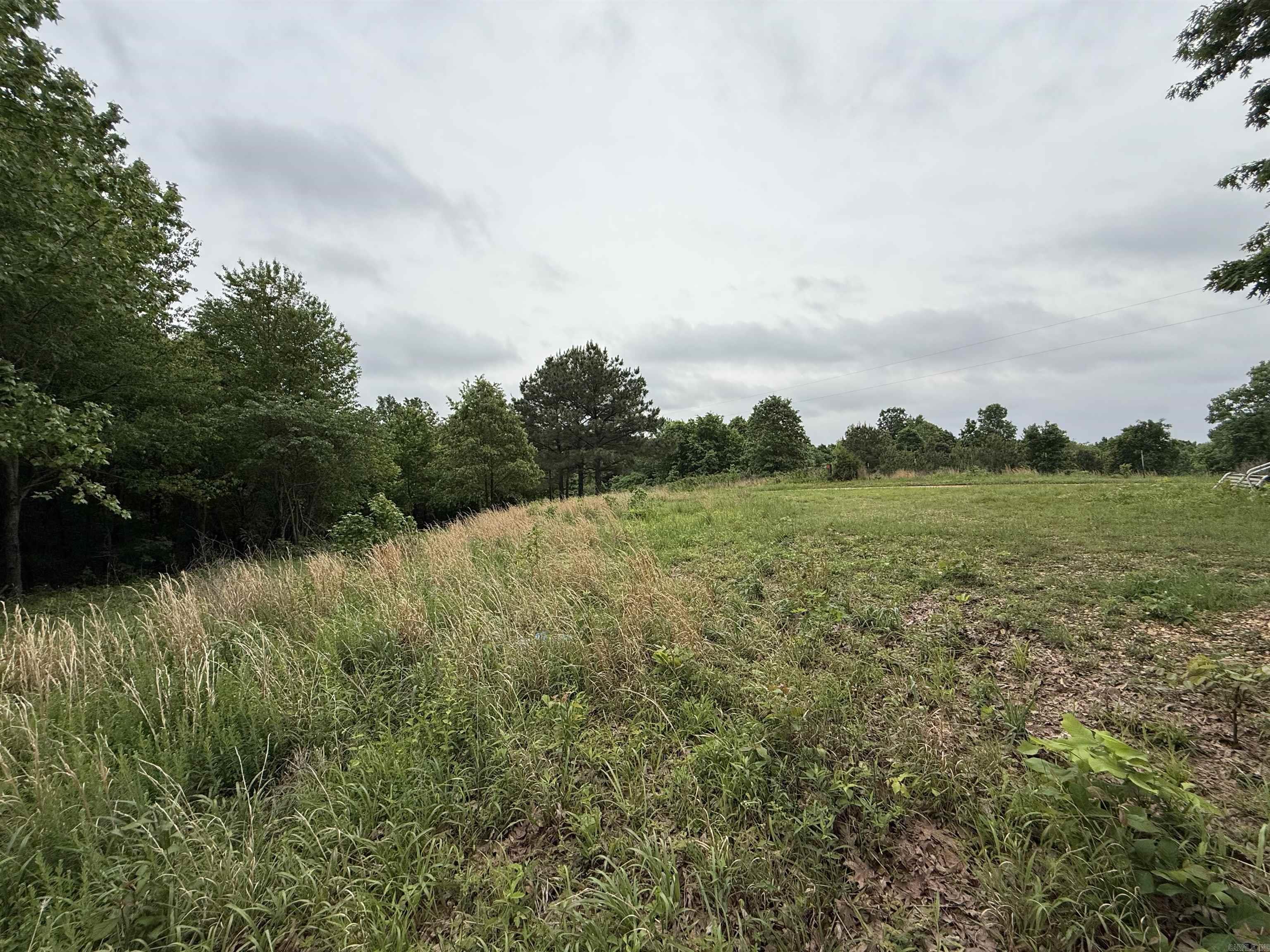 197 County 426  Rector, AR