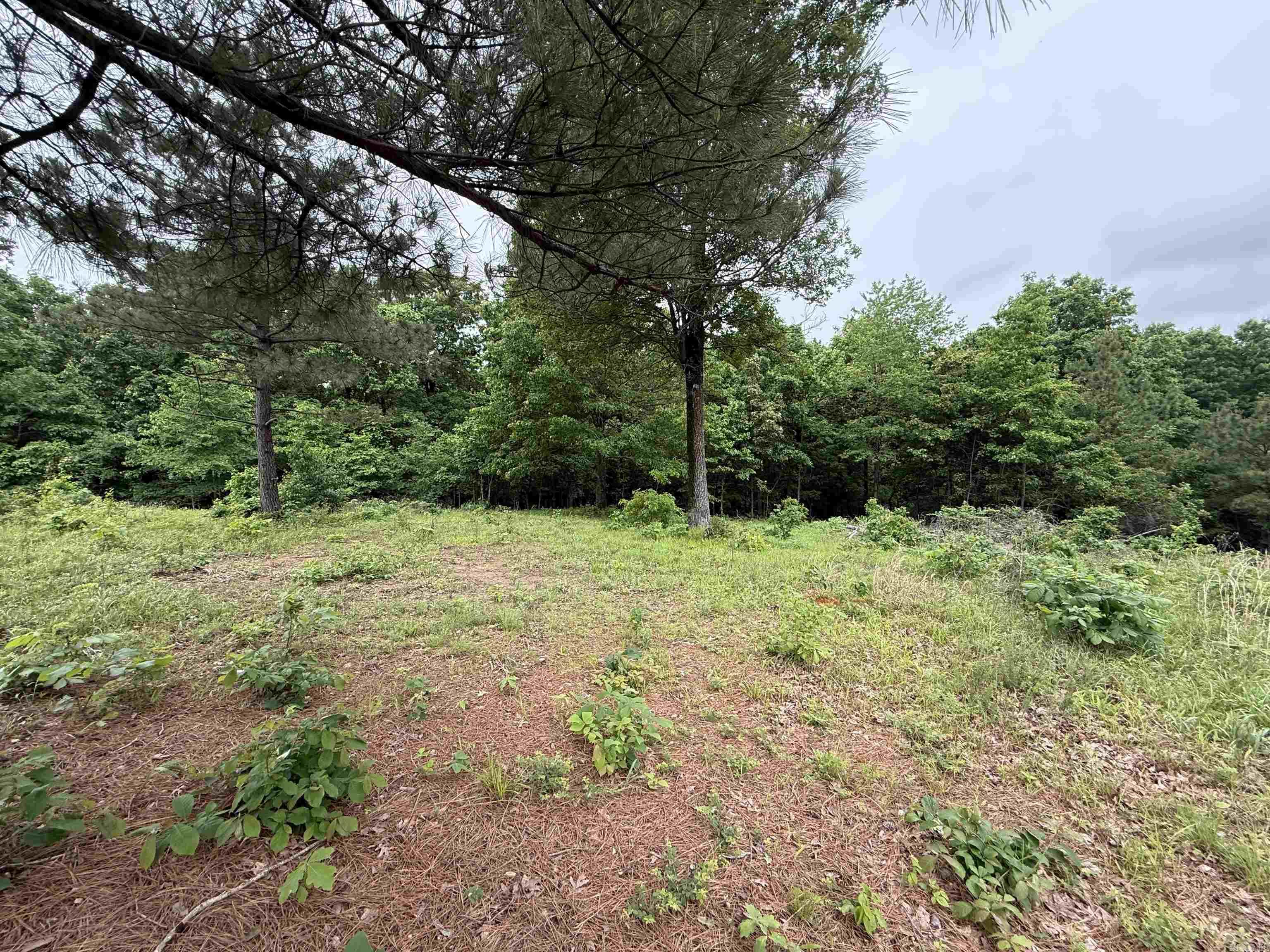 197 County 426  Rector, AR