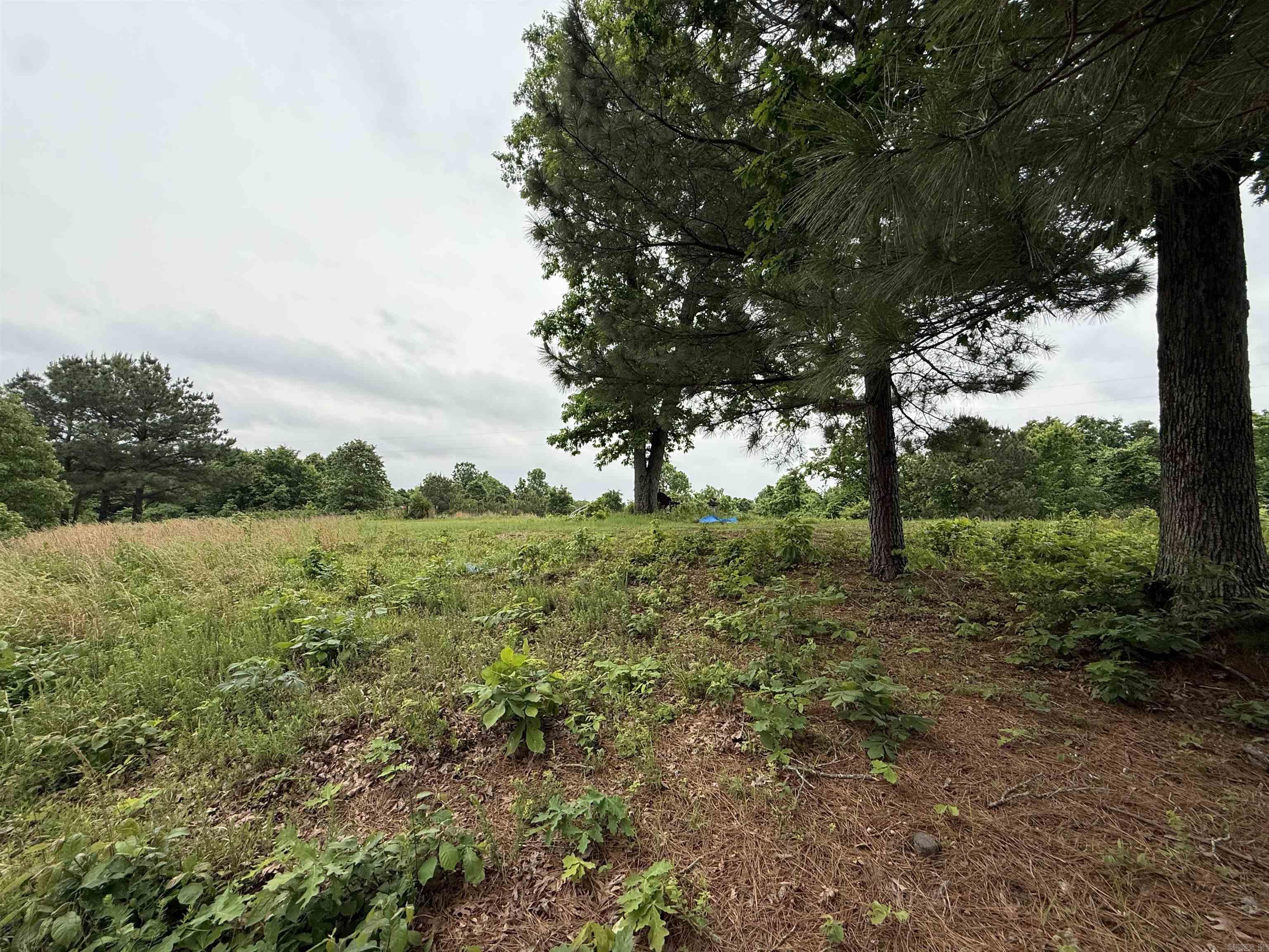 197 County 426  Rector, AR