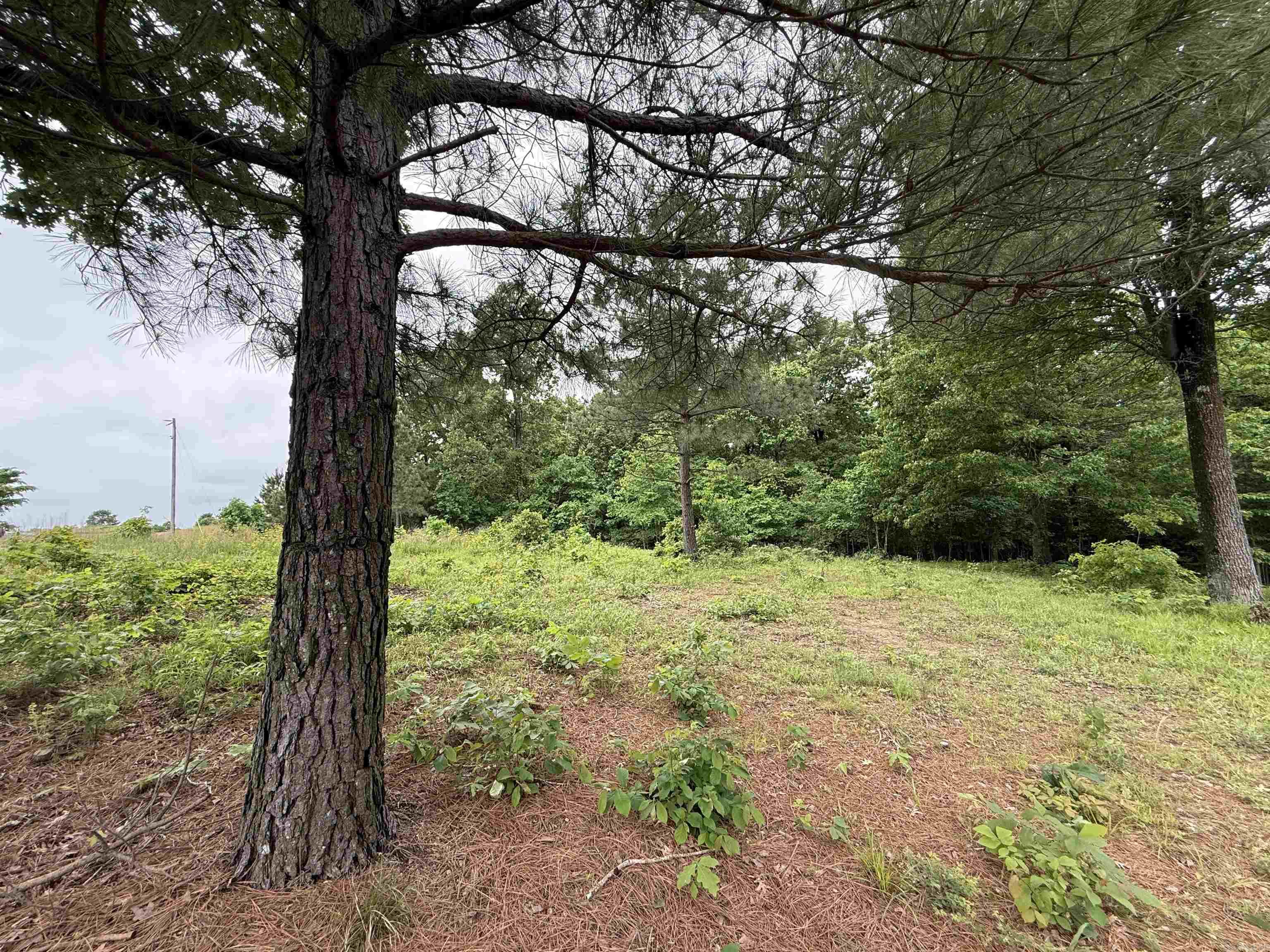 197 County 426  Rector, AR