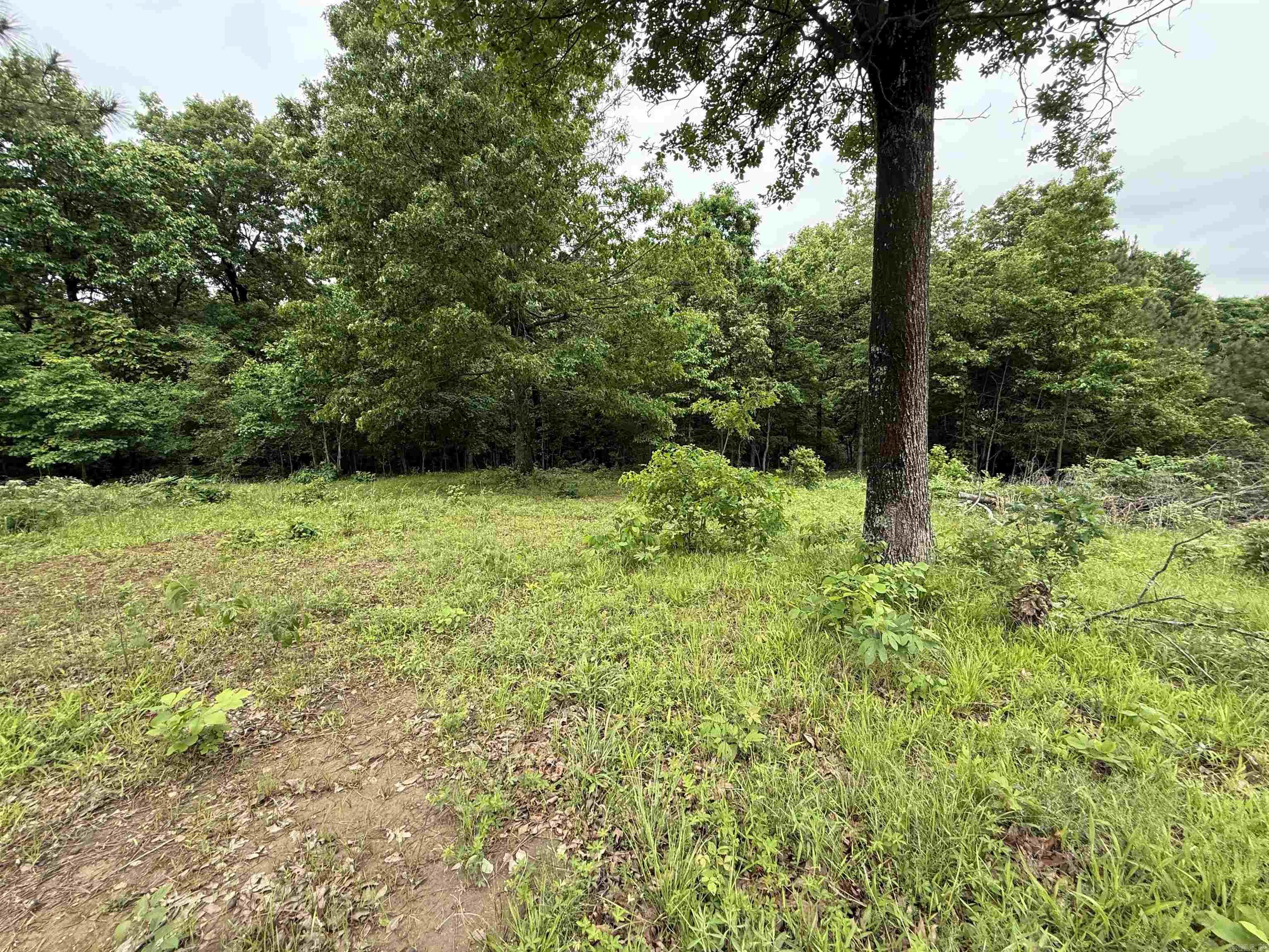 197 County 426  Rector, AR