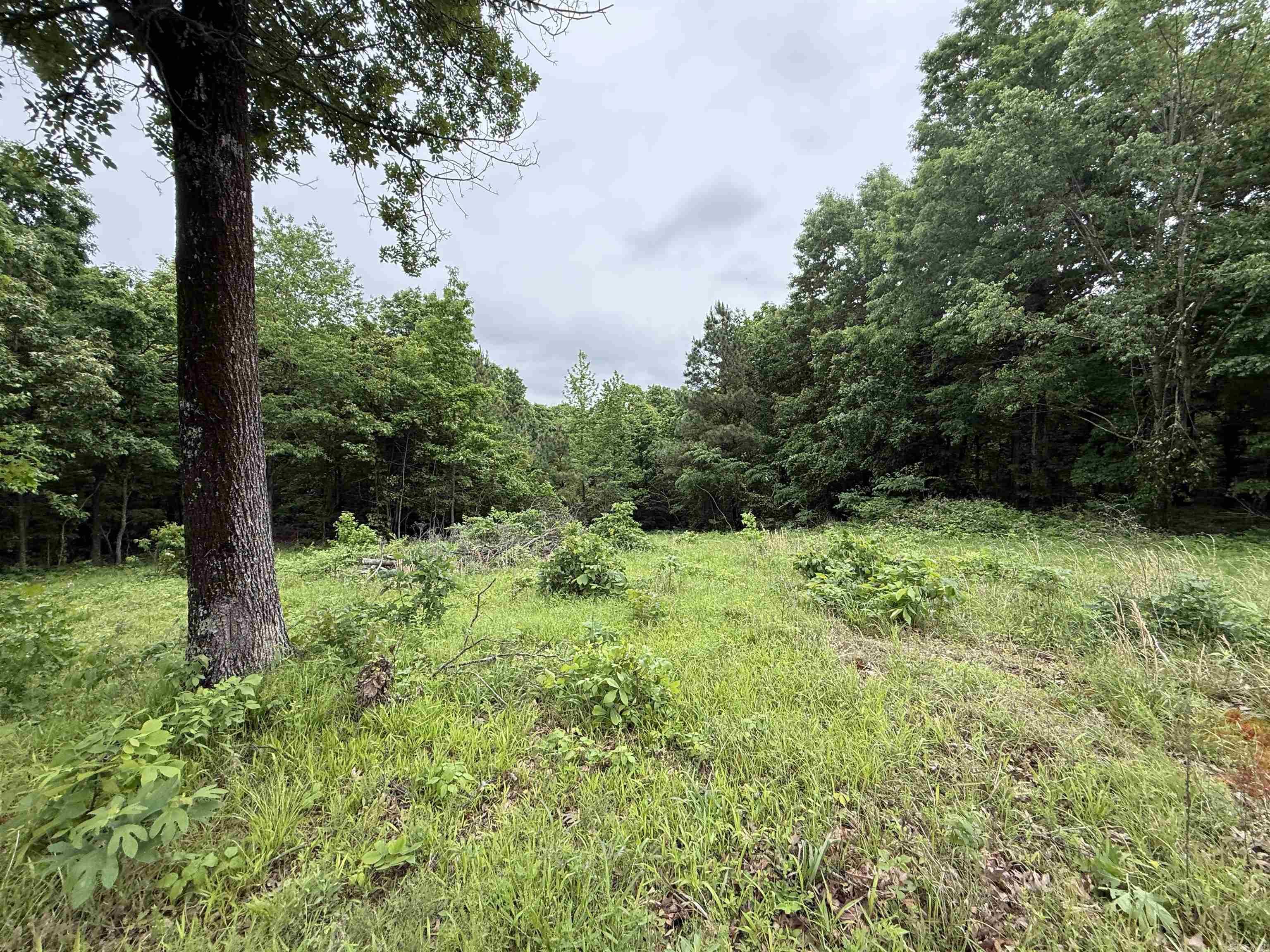 197 County 426  Rector, AR