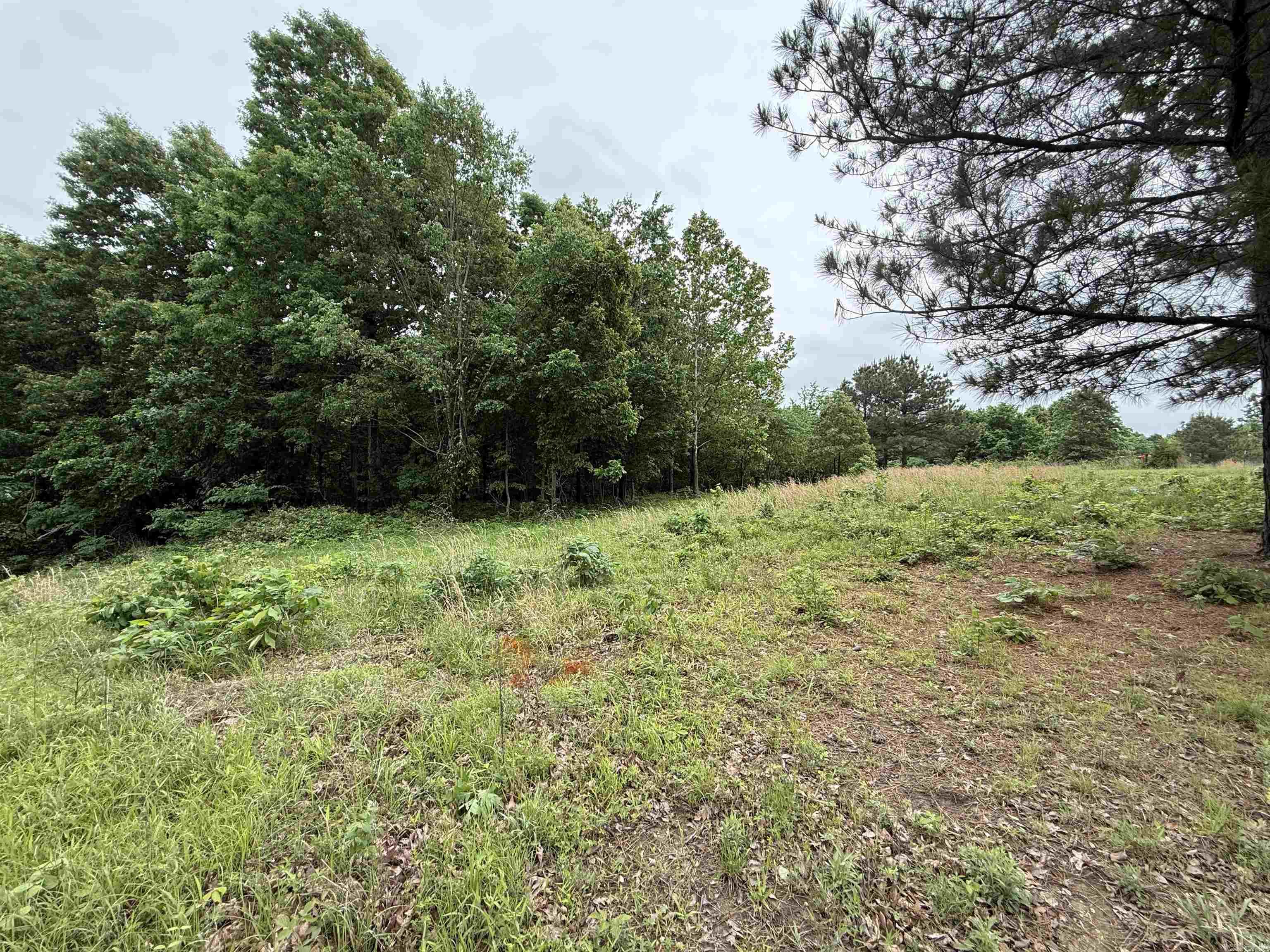 197 County 426  Rector, AR