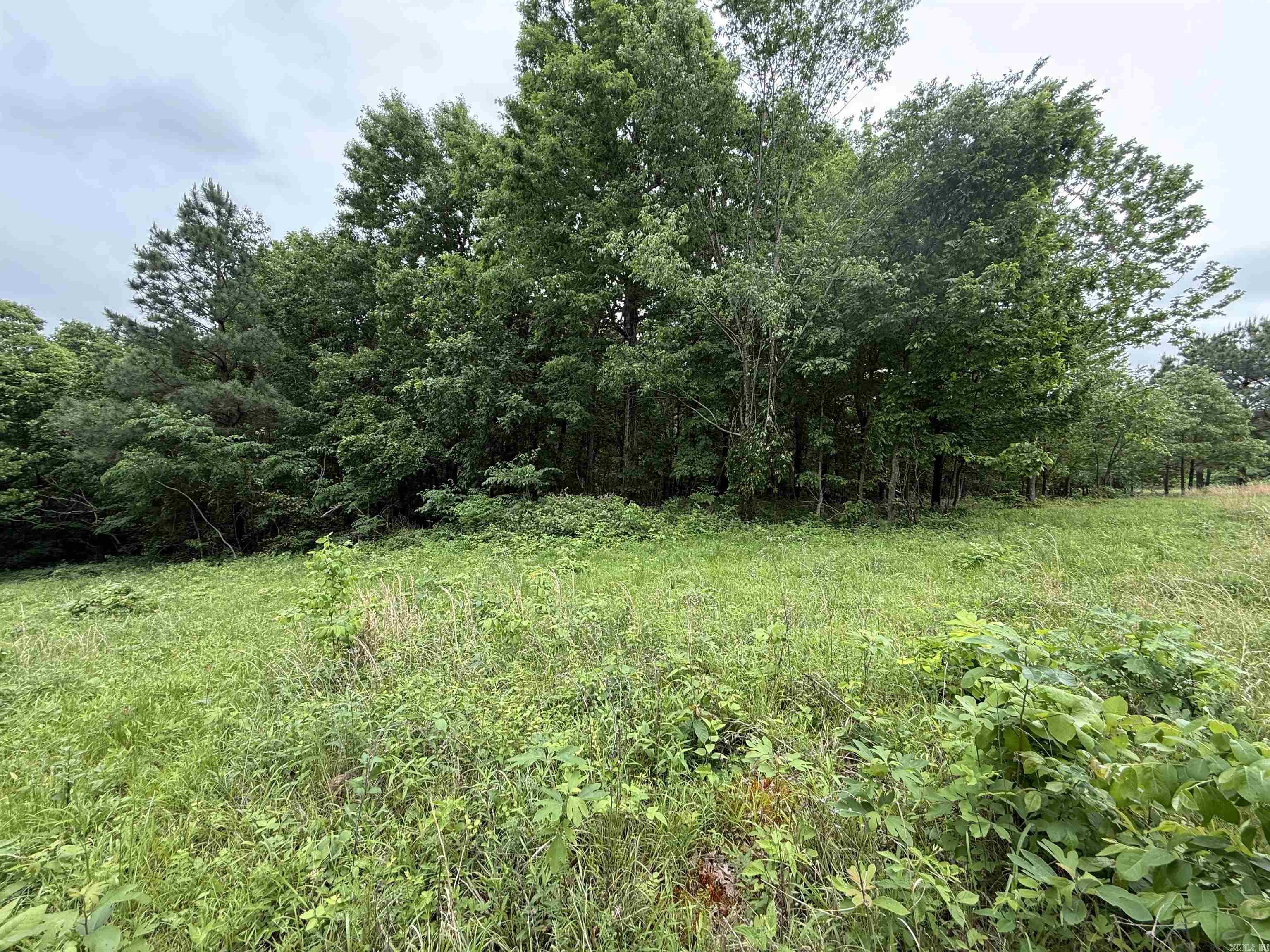 197 County 426  Rector, AR