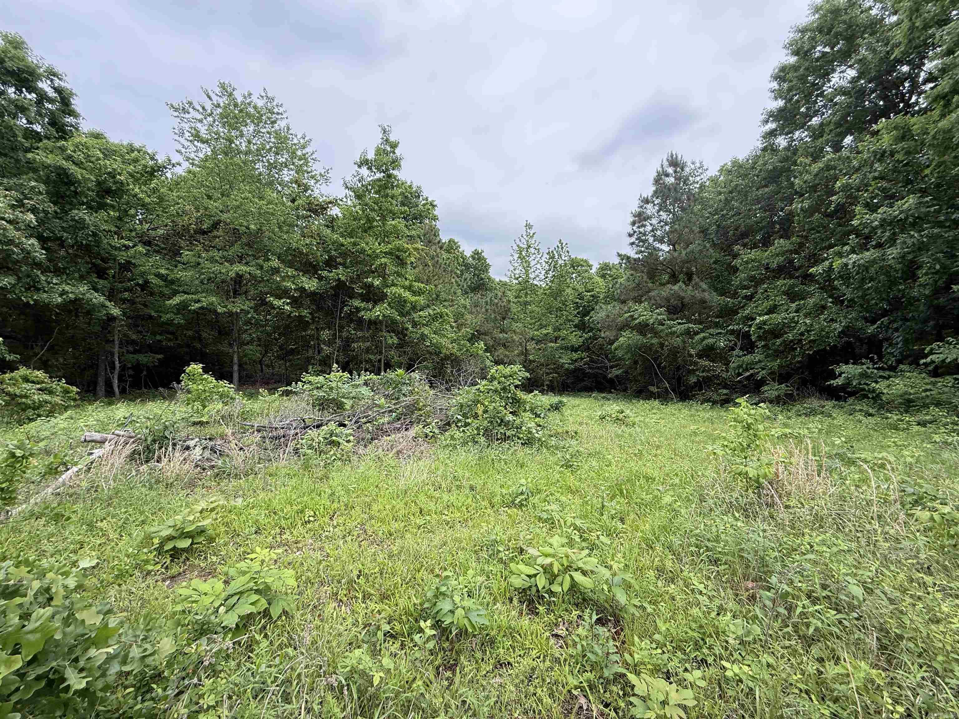 197 County 426  Rector, AR