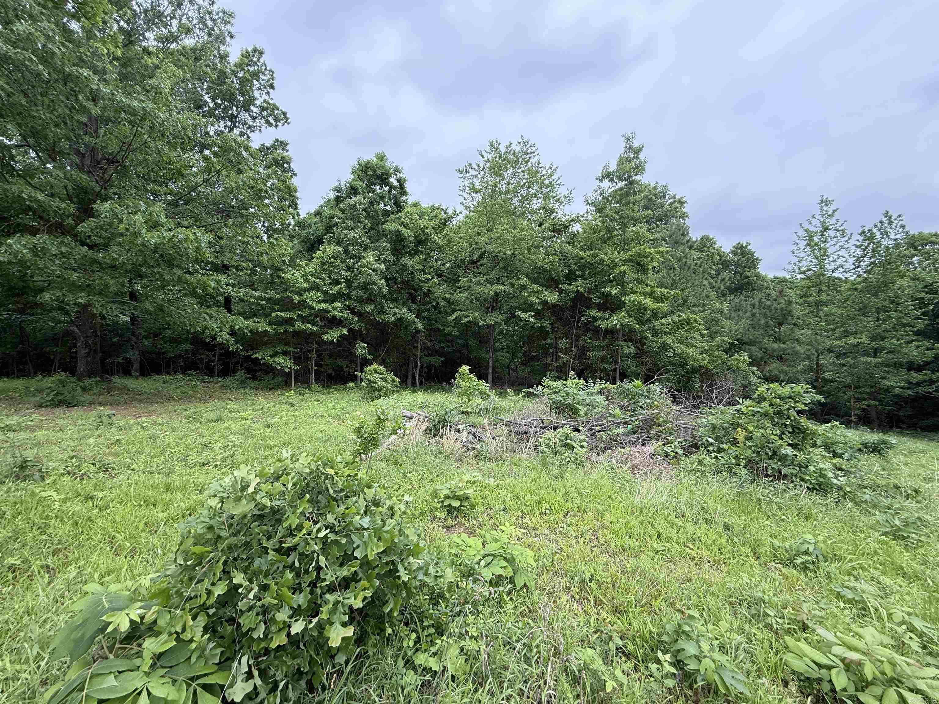 197 County 426  Rector, AR