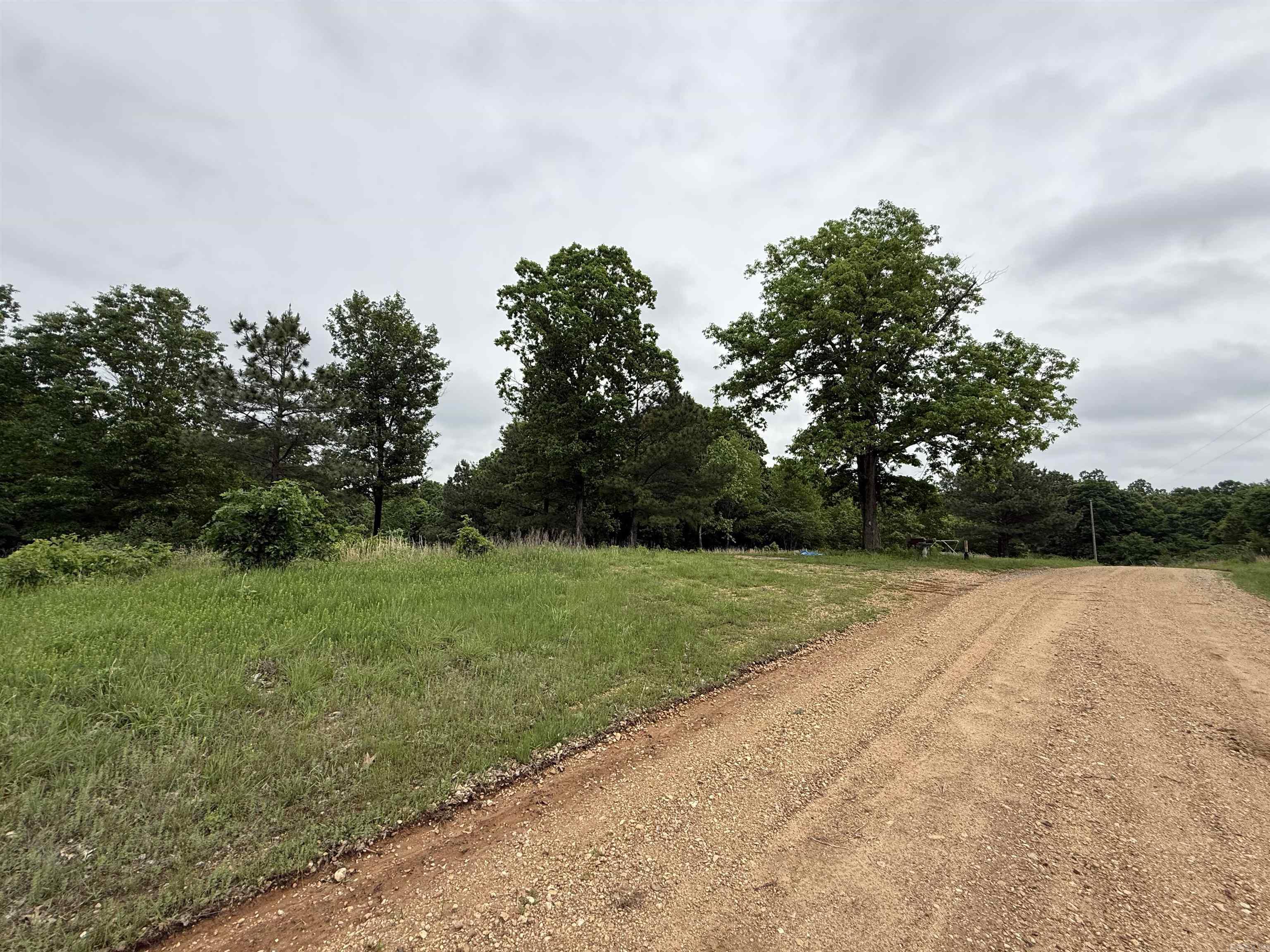 197 County 426  Rector, AR