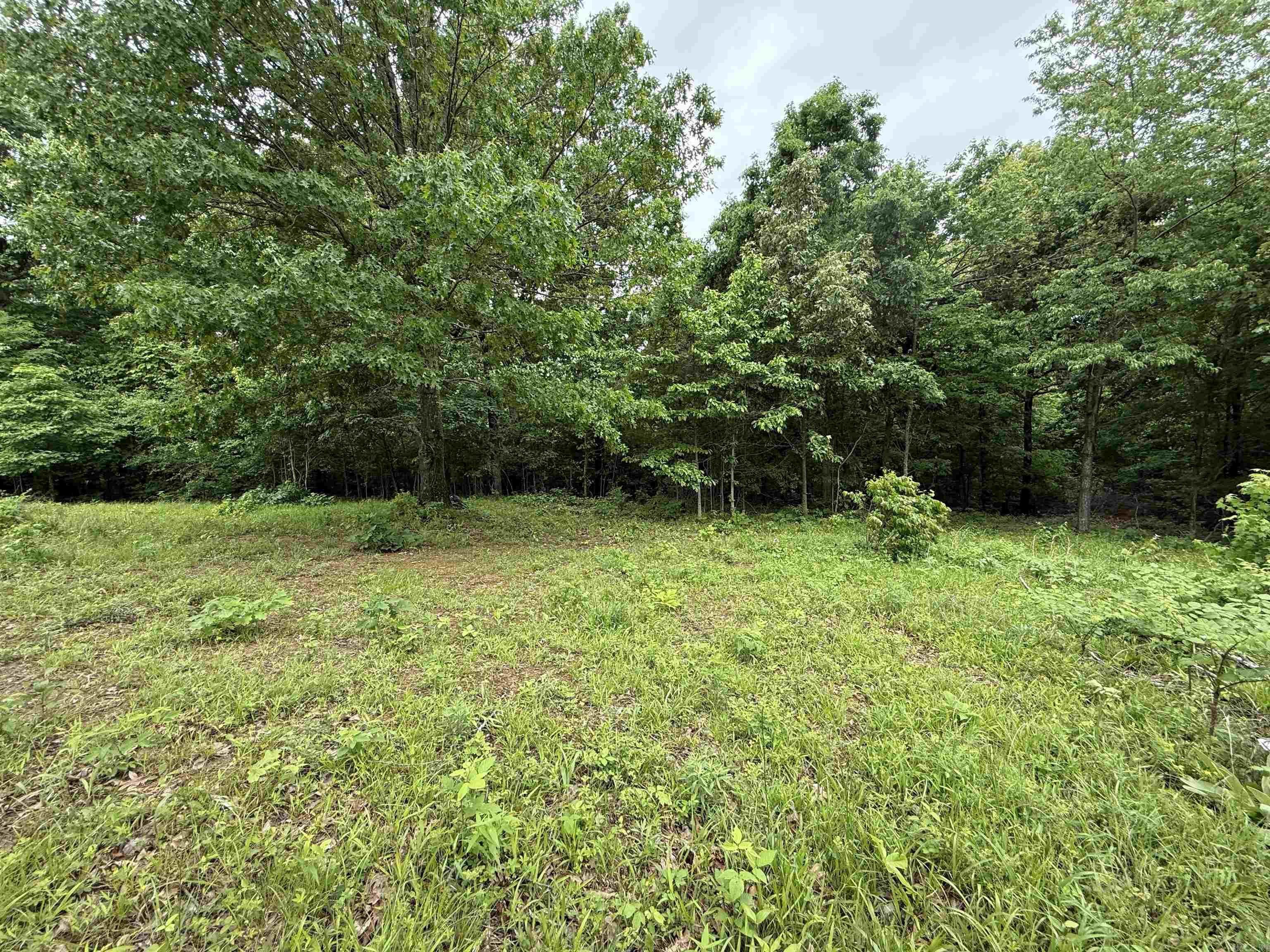 197 County 426  Rector, AR