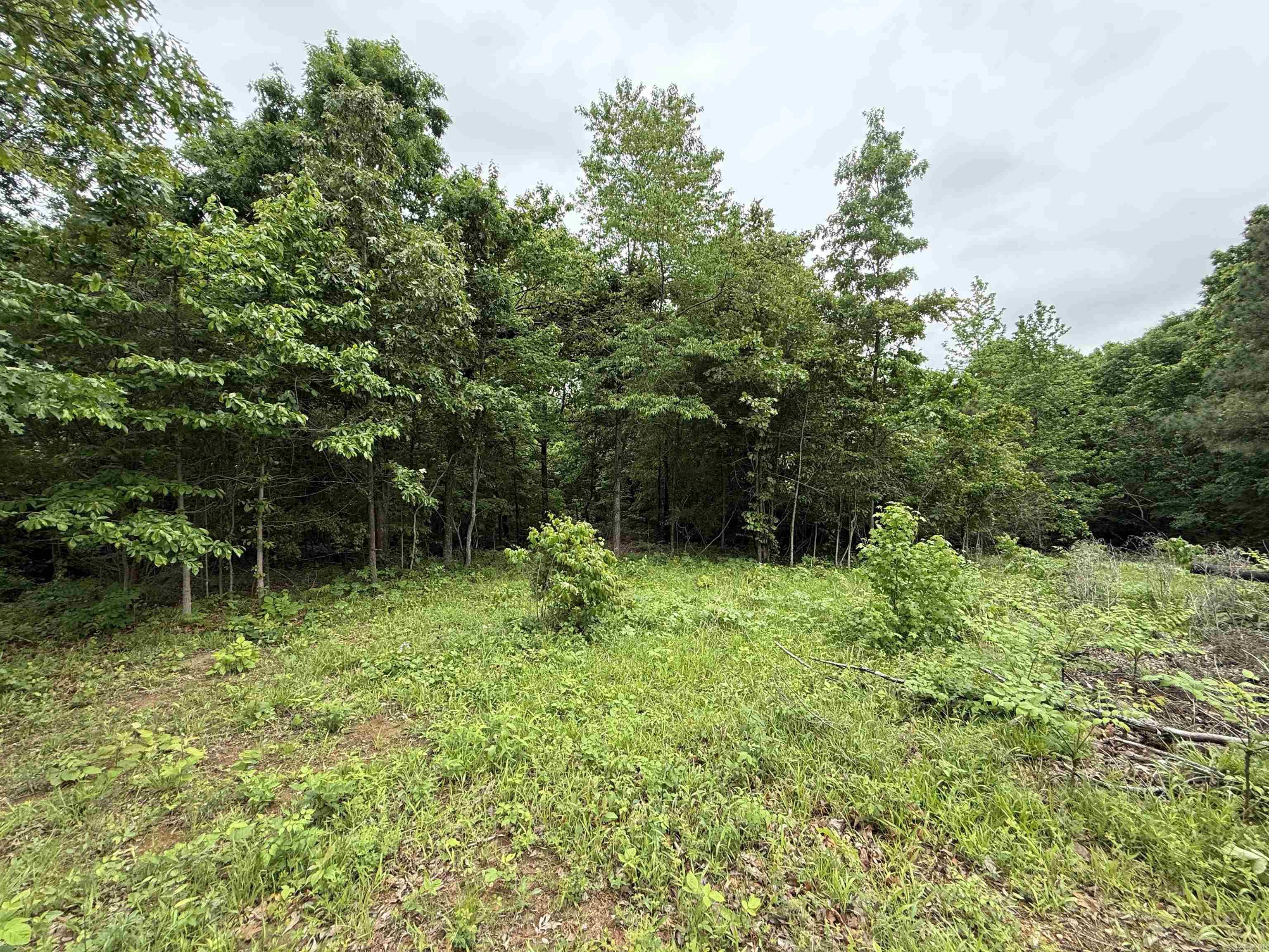 197 County 426  Rector, AR