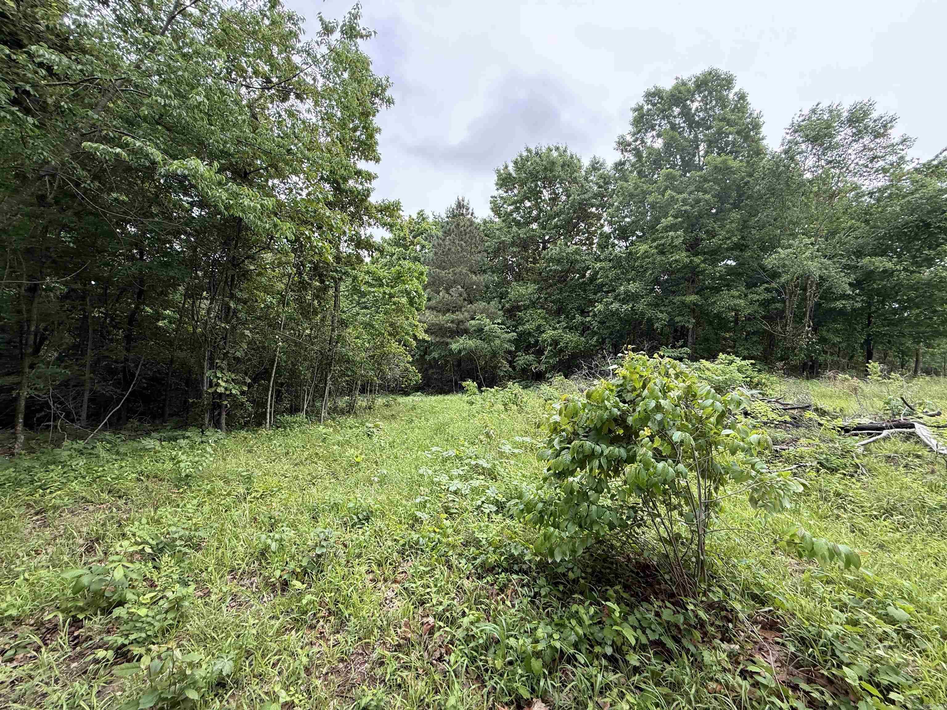 197 County 426  Rector, AR