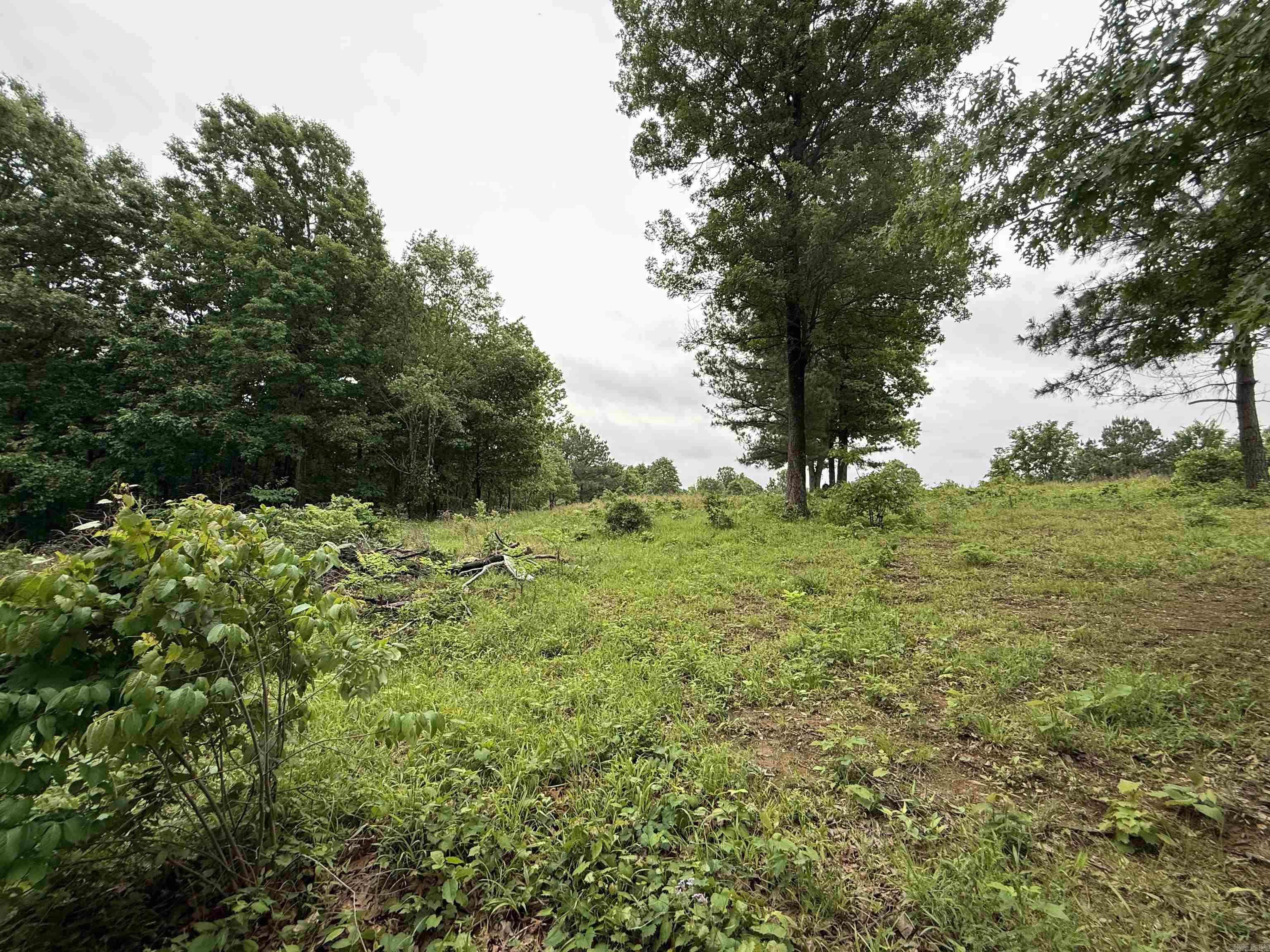 197 County 426  Rector, AR