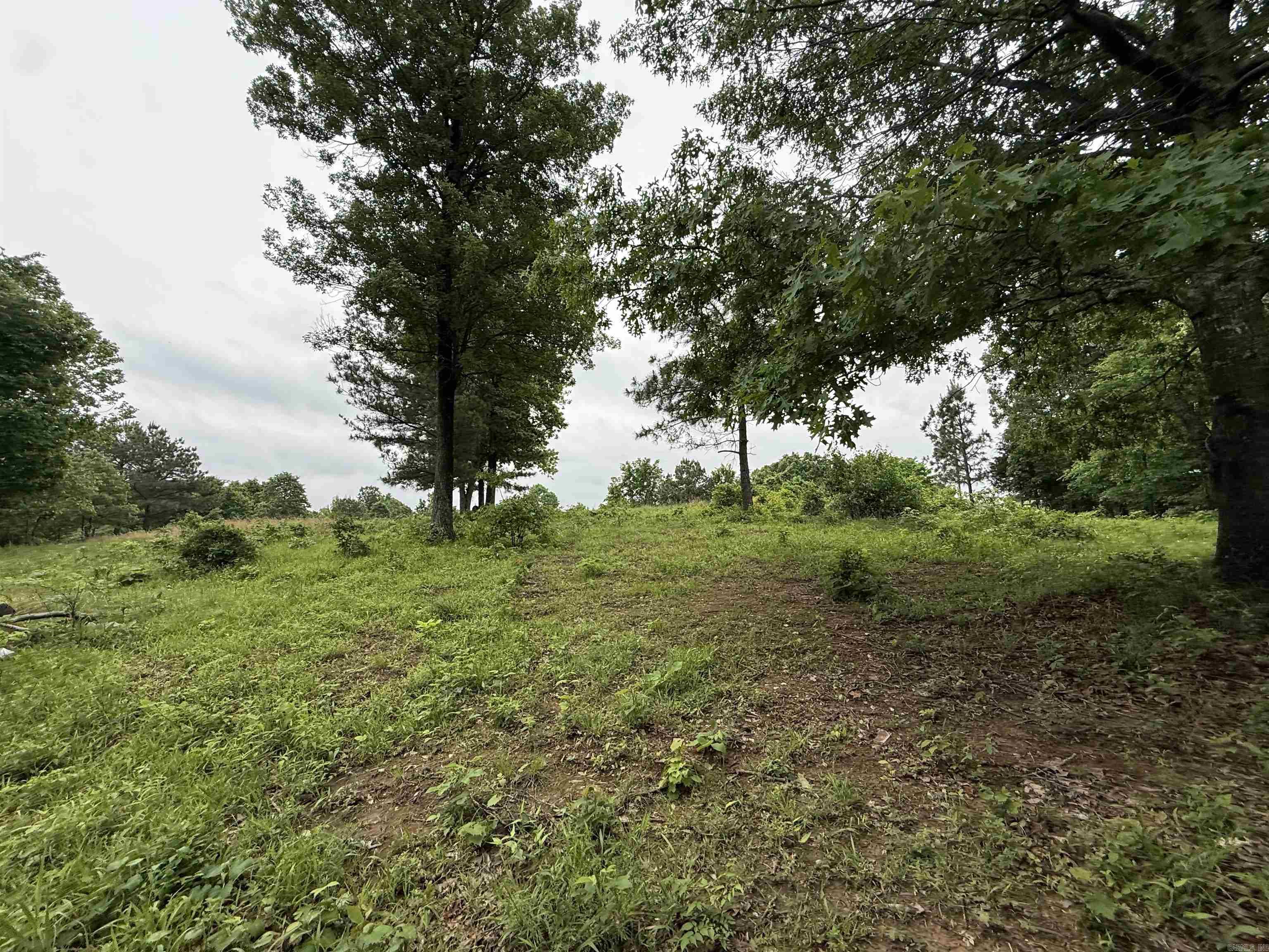 197 County 426  Rector, AR