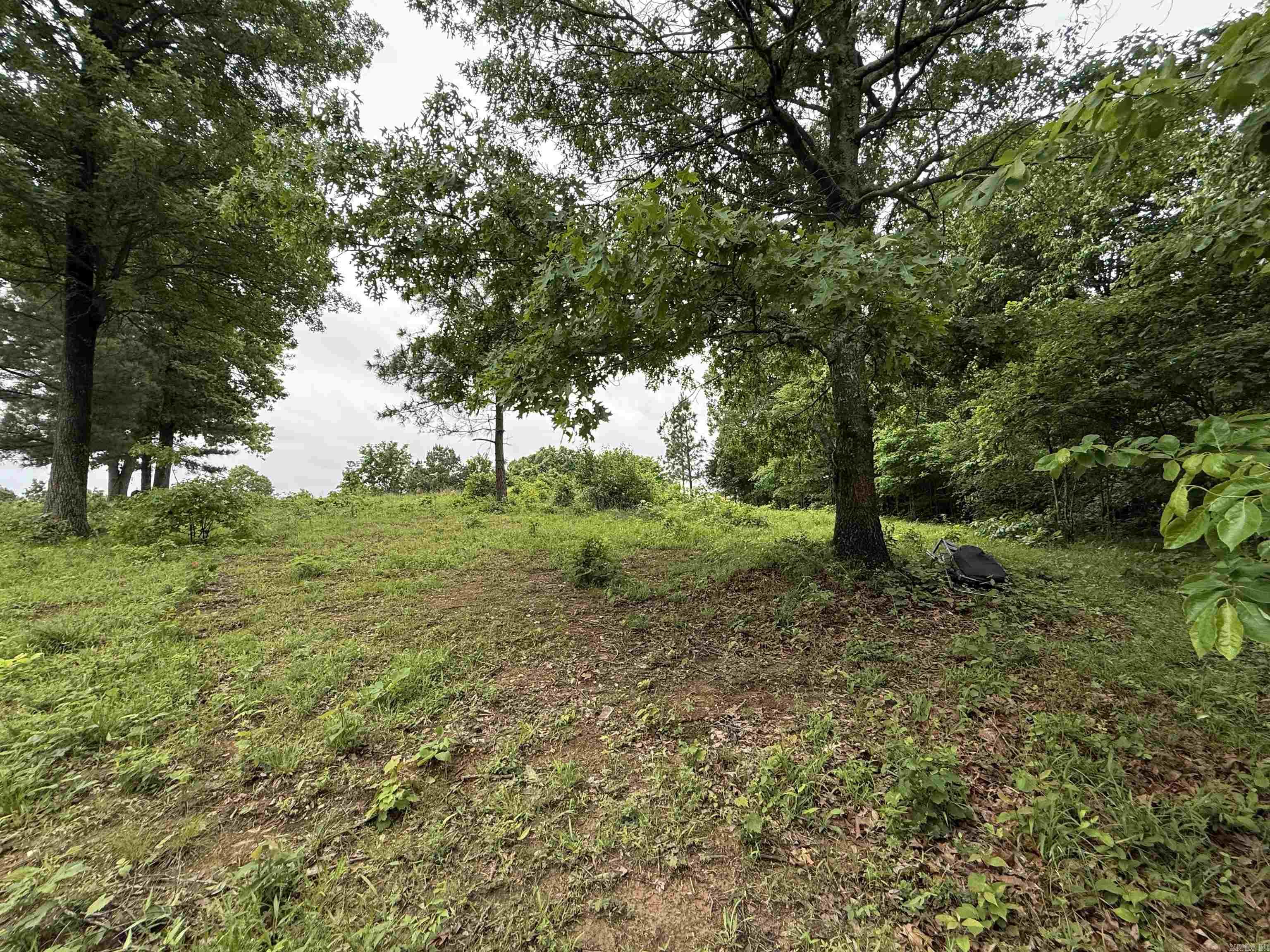 197 County 426  Rector, AR