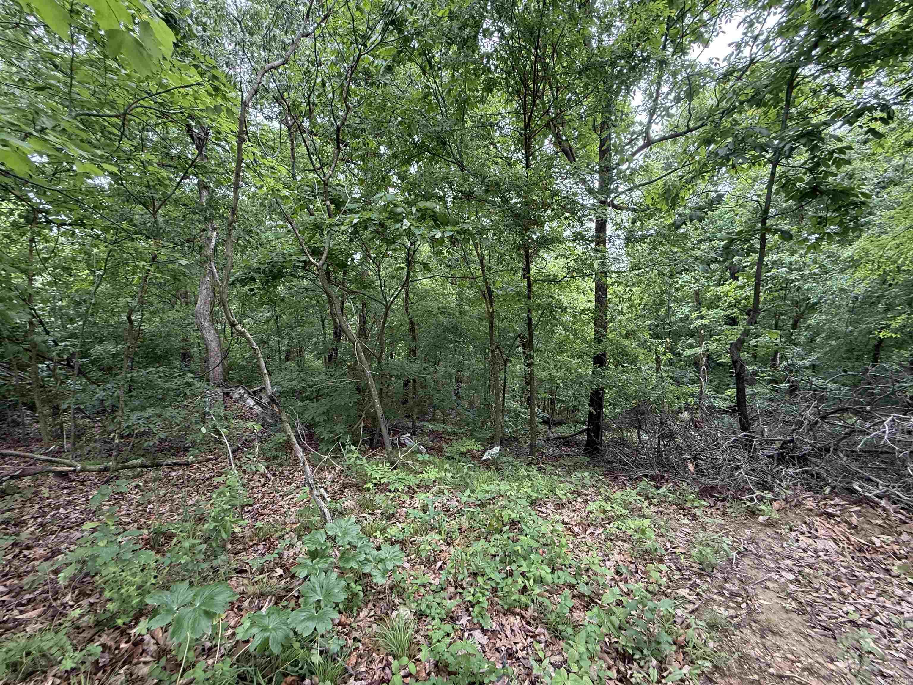 197 County 426  Rector, AR