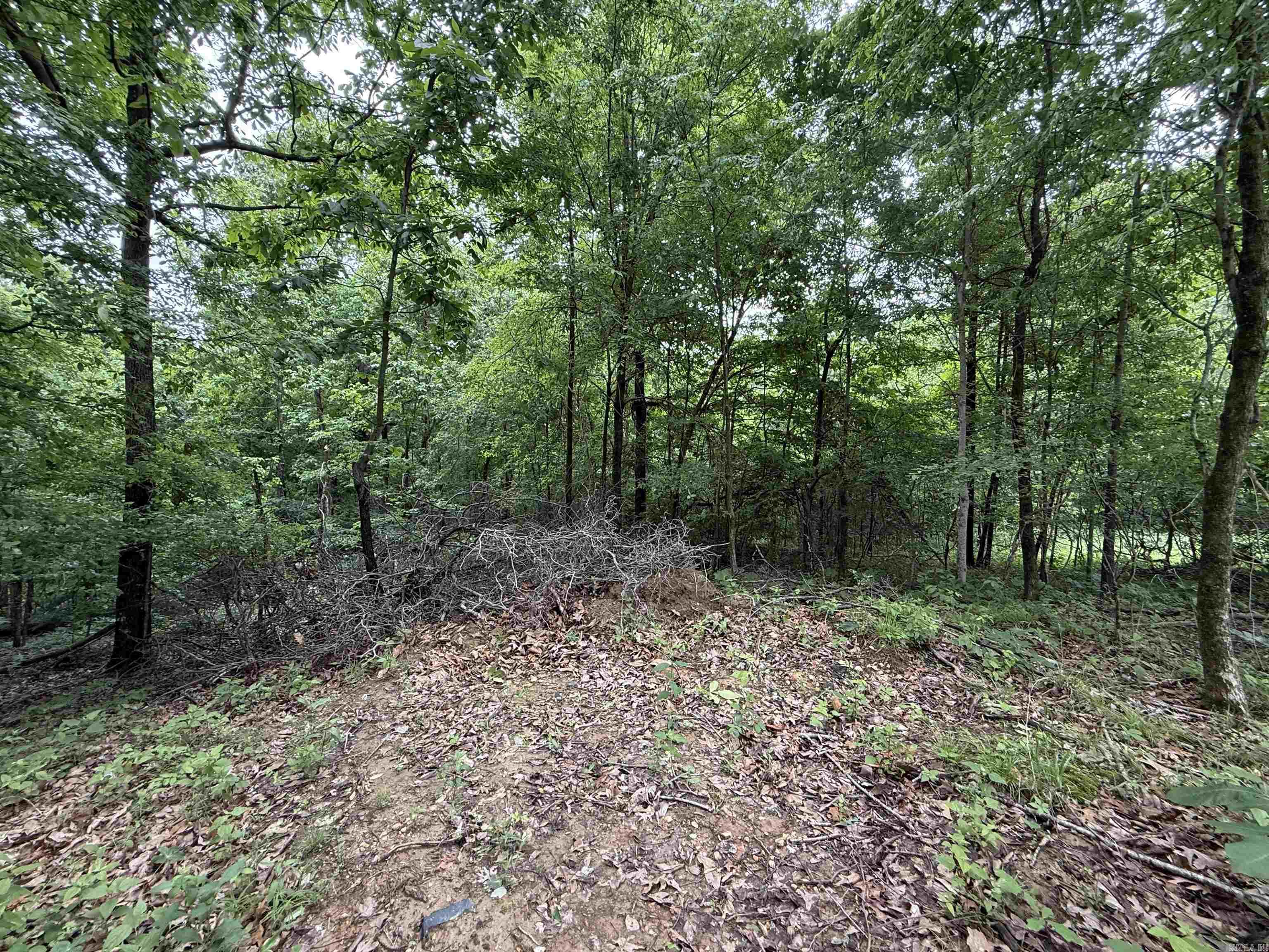 197 County 426  Rector, AR