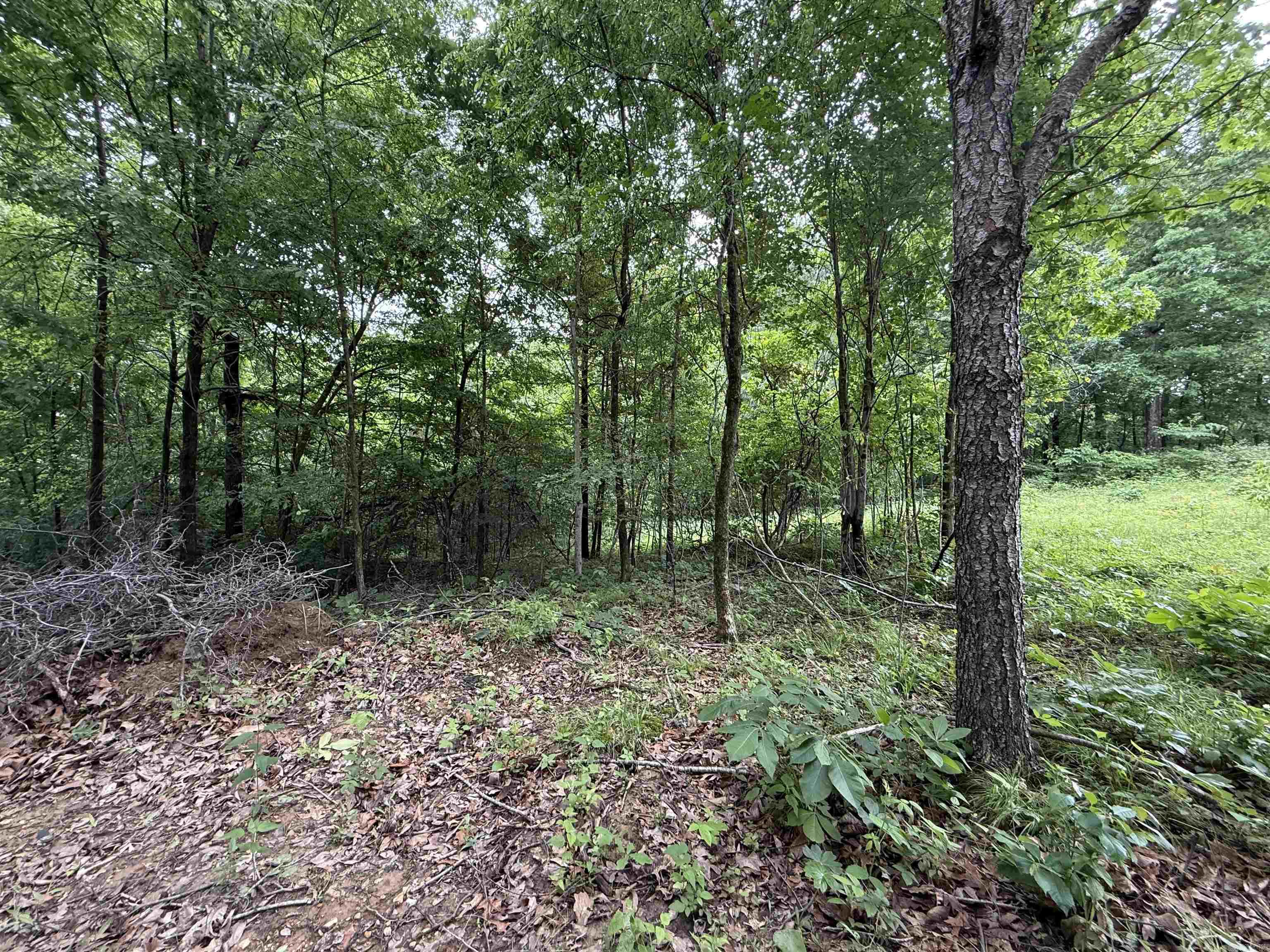 197 County 426  Rector, AR