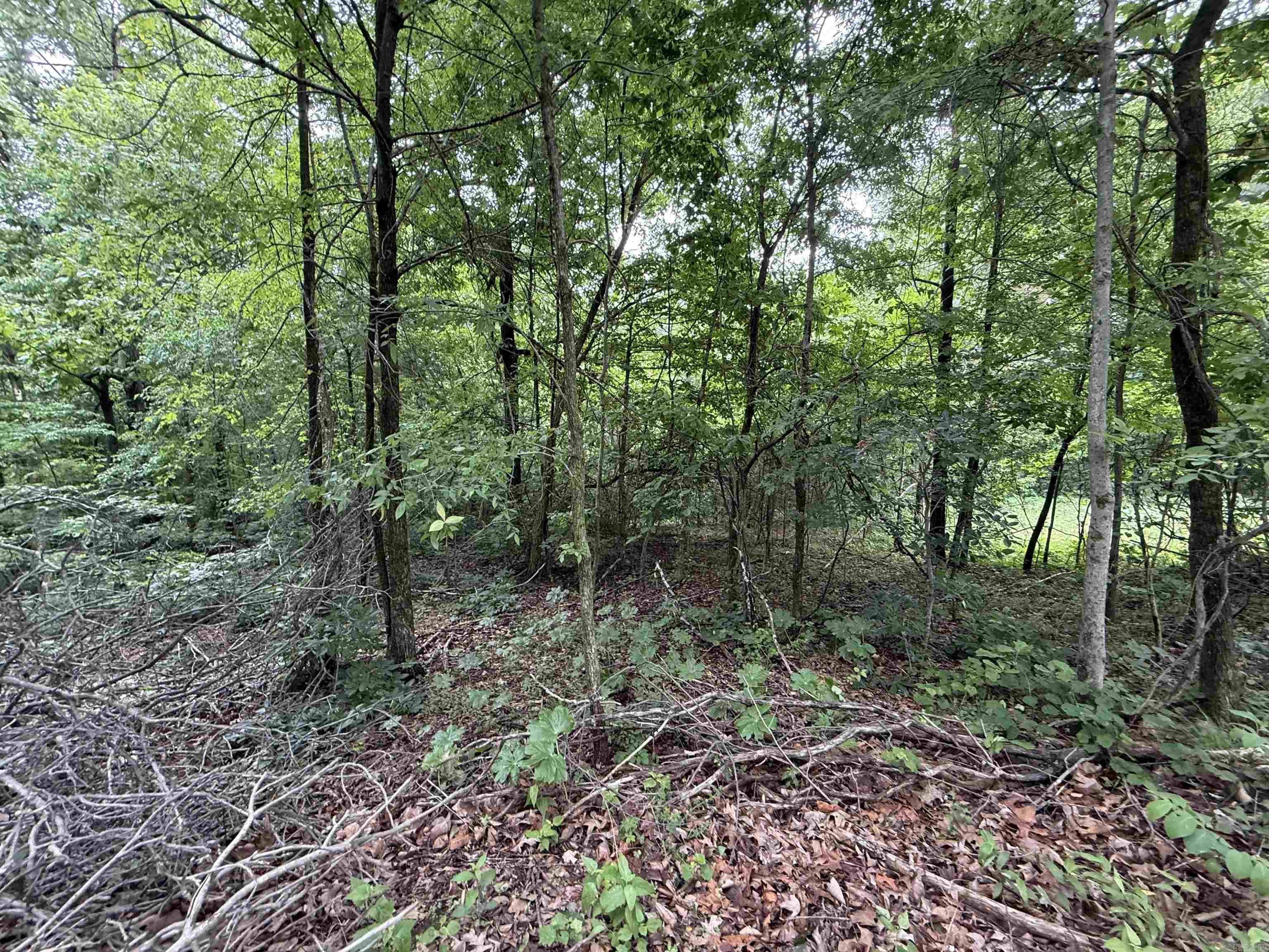 197 County 426  Rector, AR