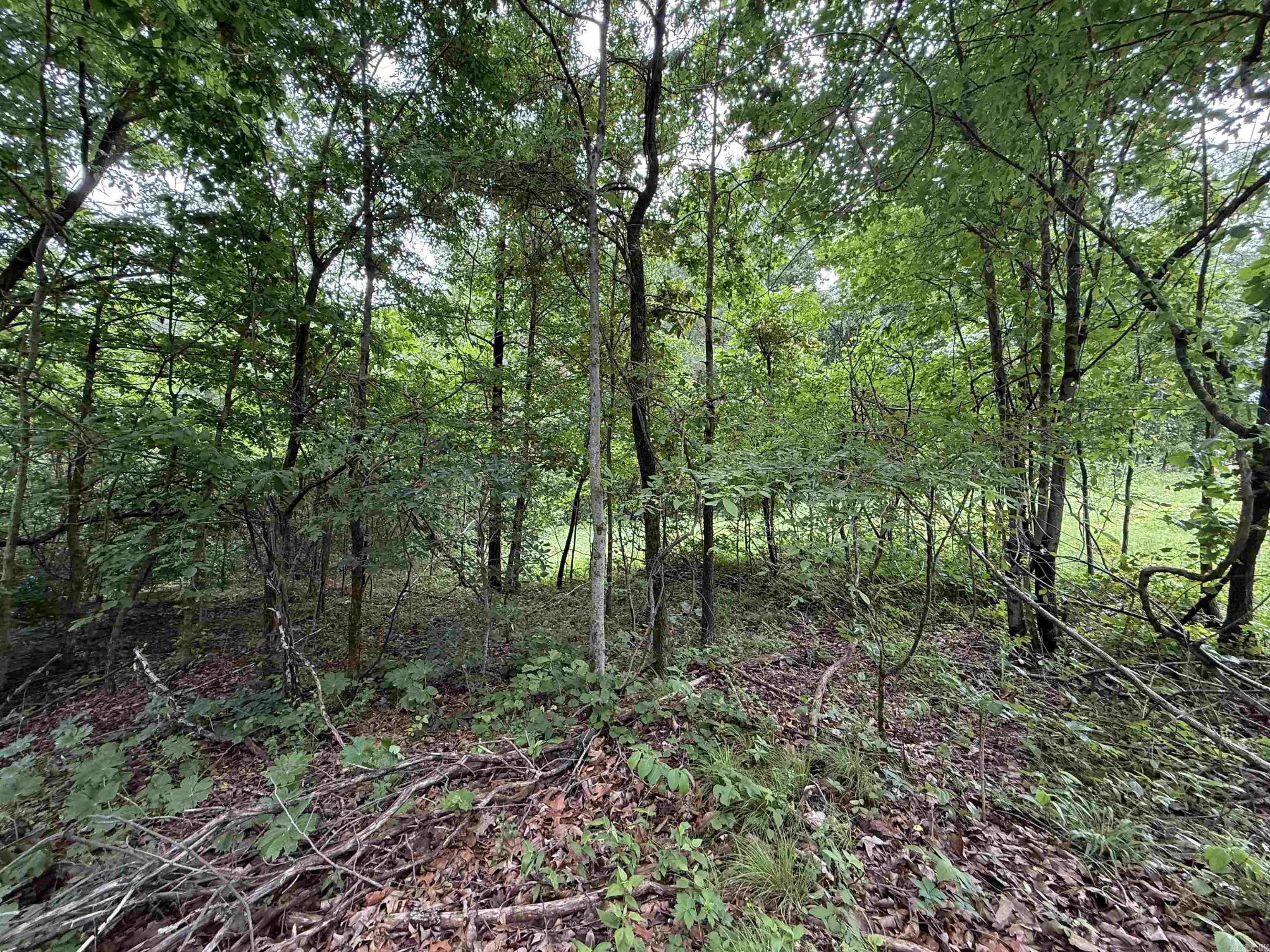 197 County 426  Rector, AR