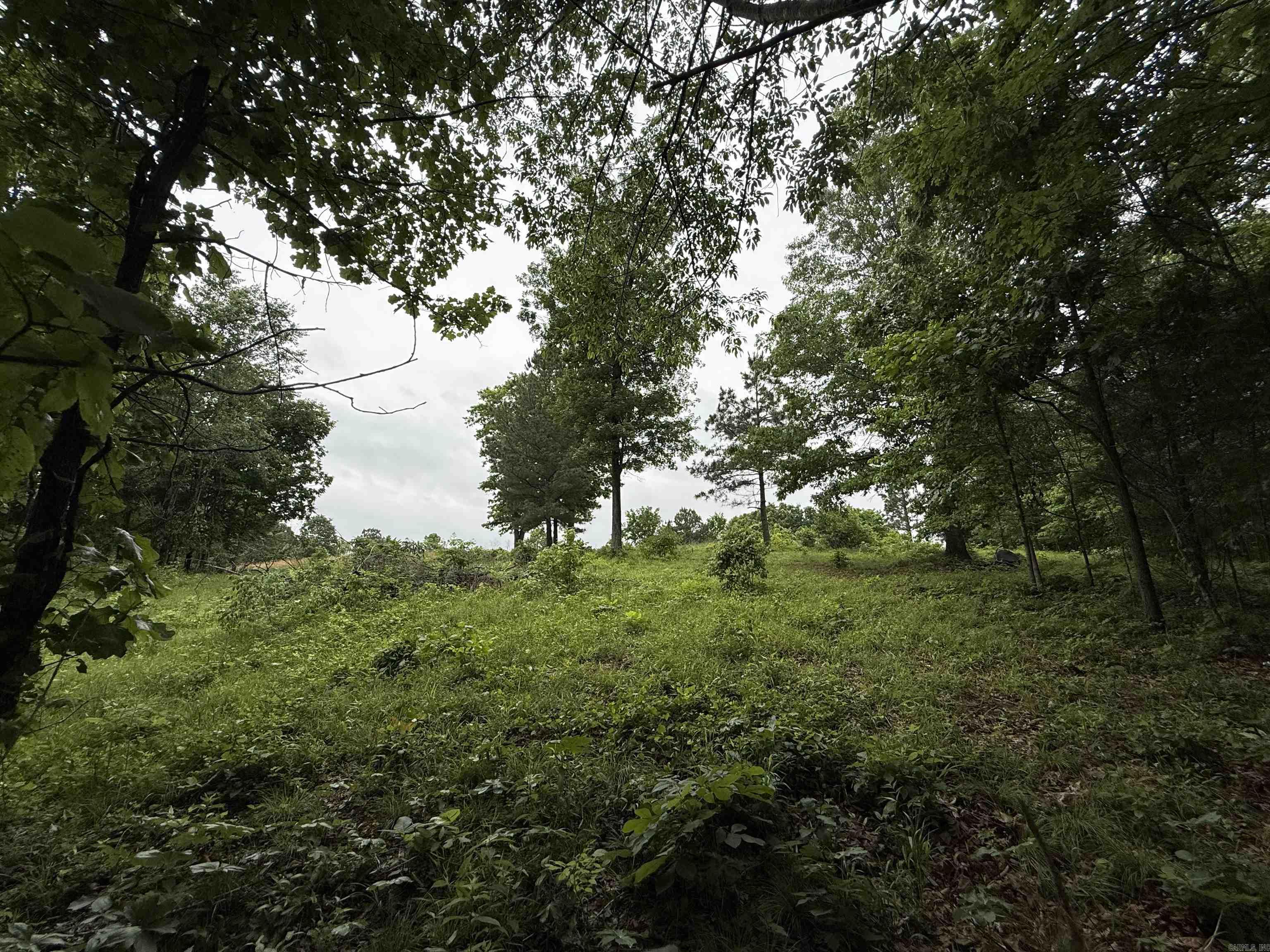 197 County 426  Rector, AR