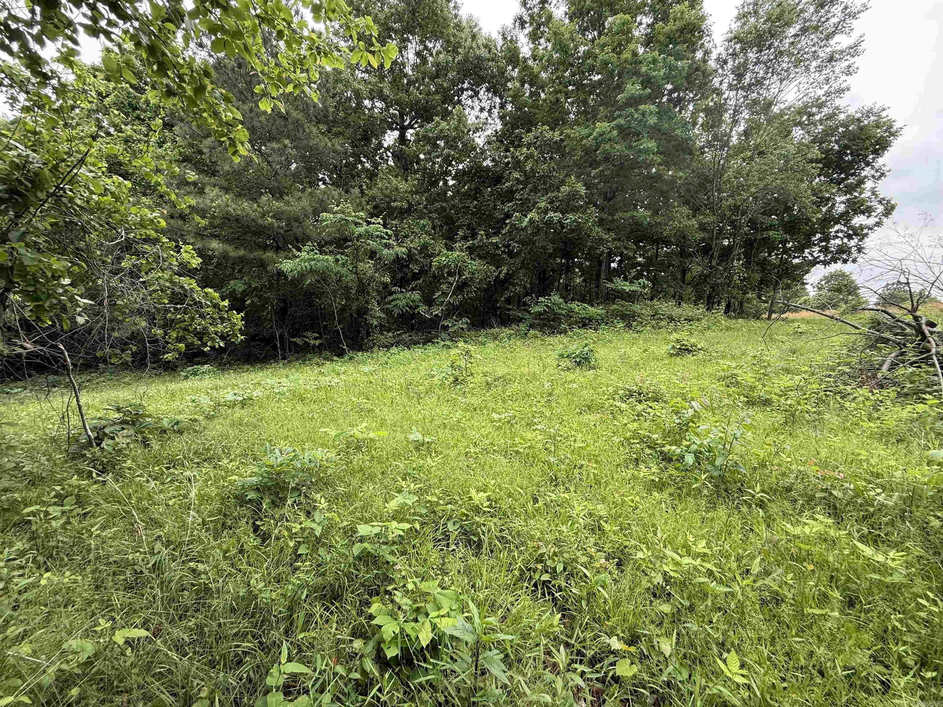 197 County 426  Rector, AR