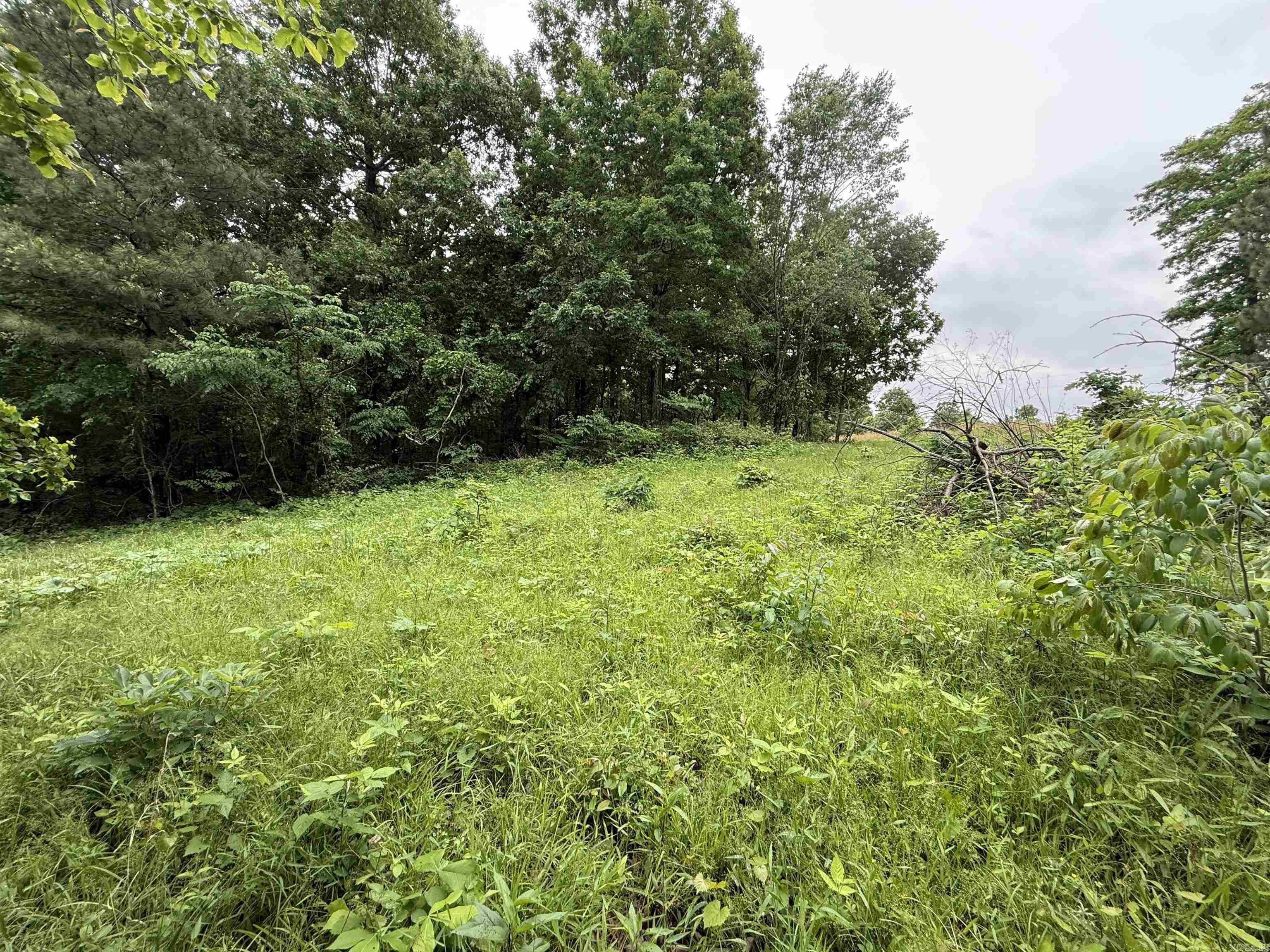 197 County 426  Rector, AR