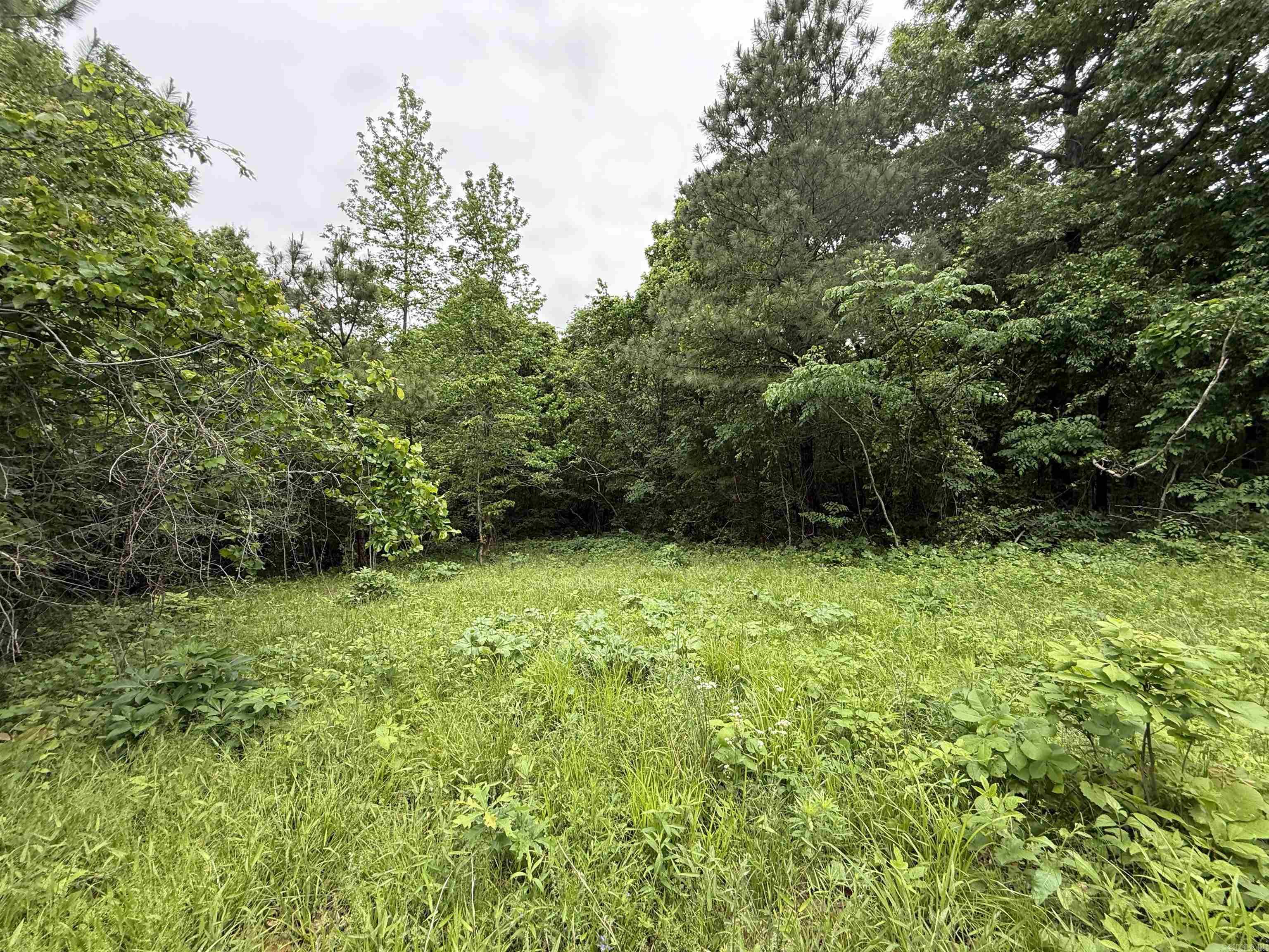 197 County 426  Rector, AR