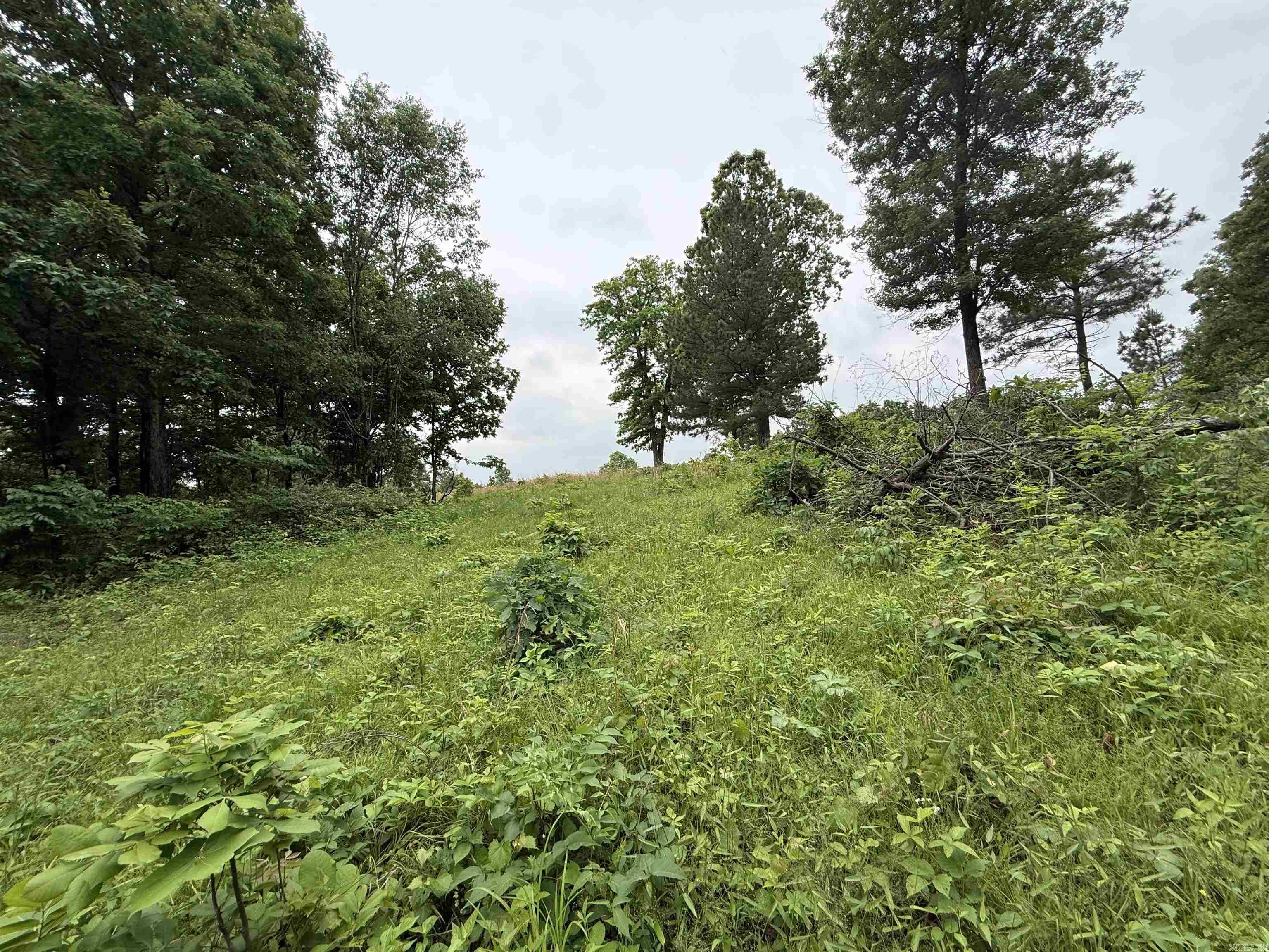 197 County 426  Rector, AR