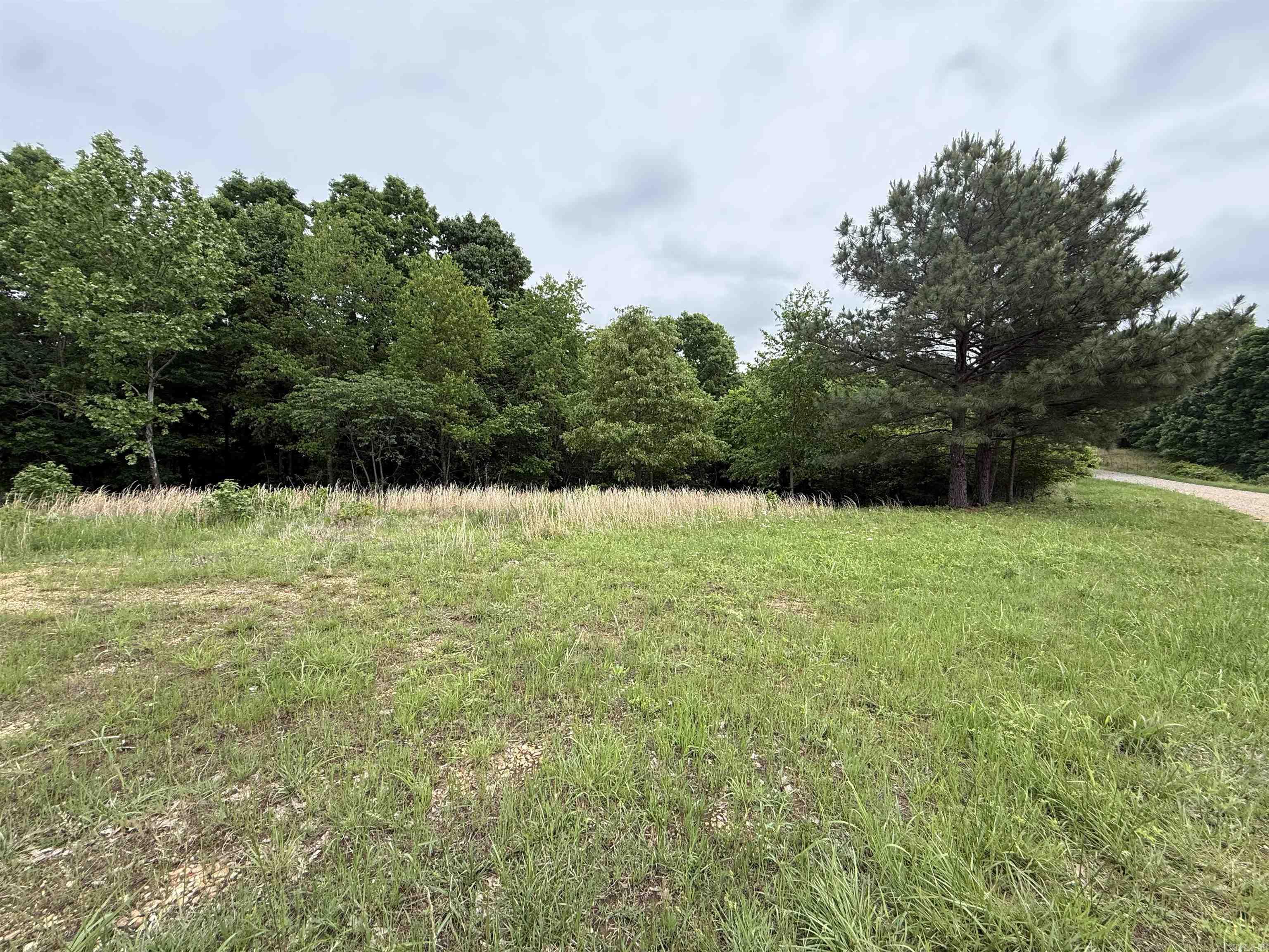 197 County 426  Rector, AR