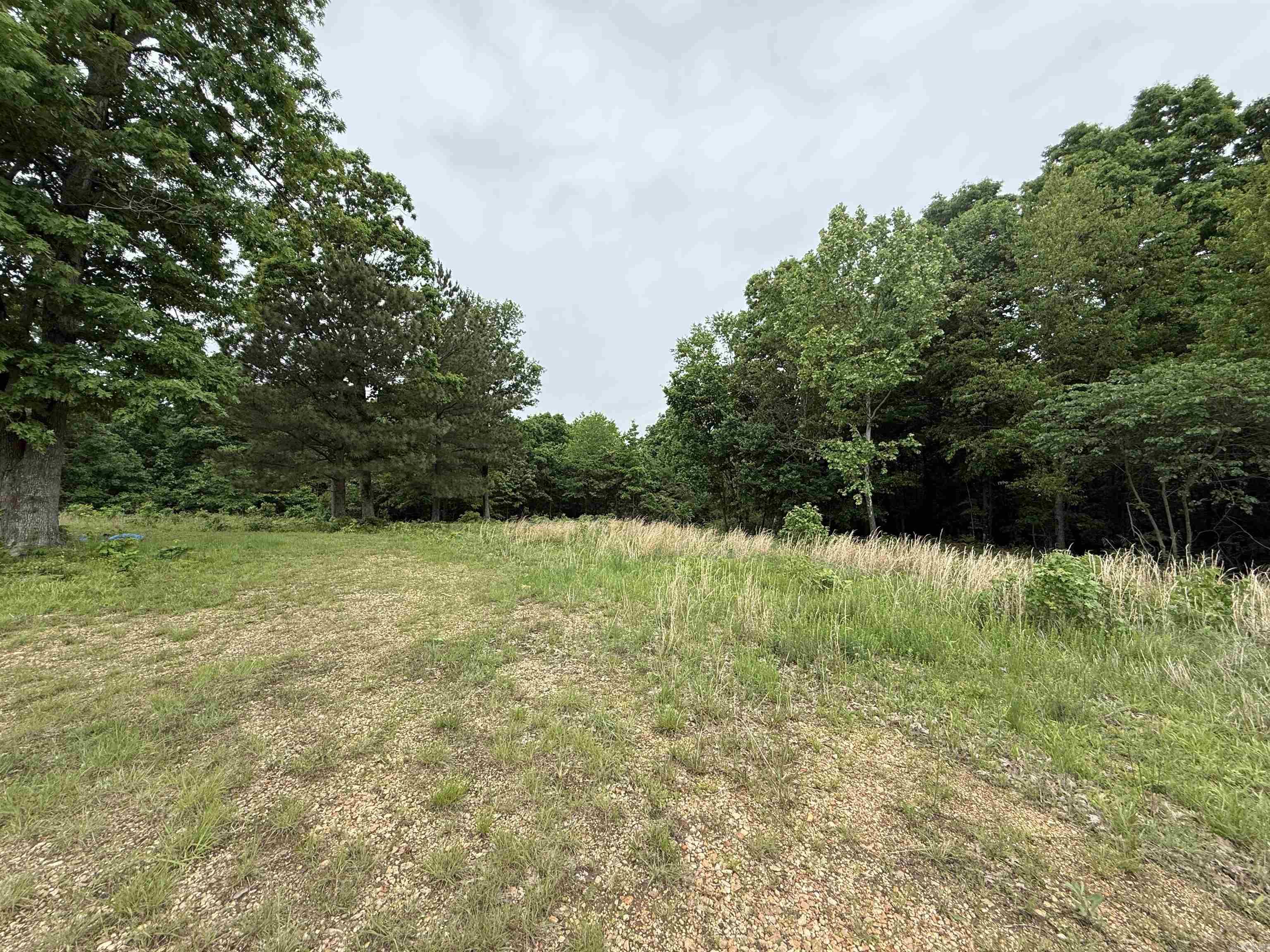 197 County 426  Rector, AR