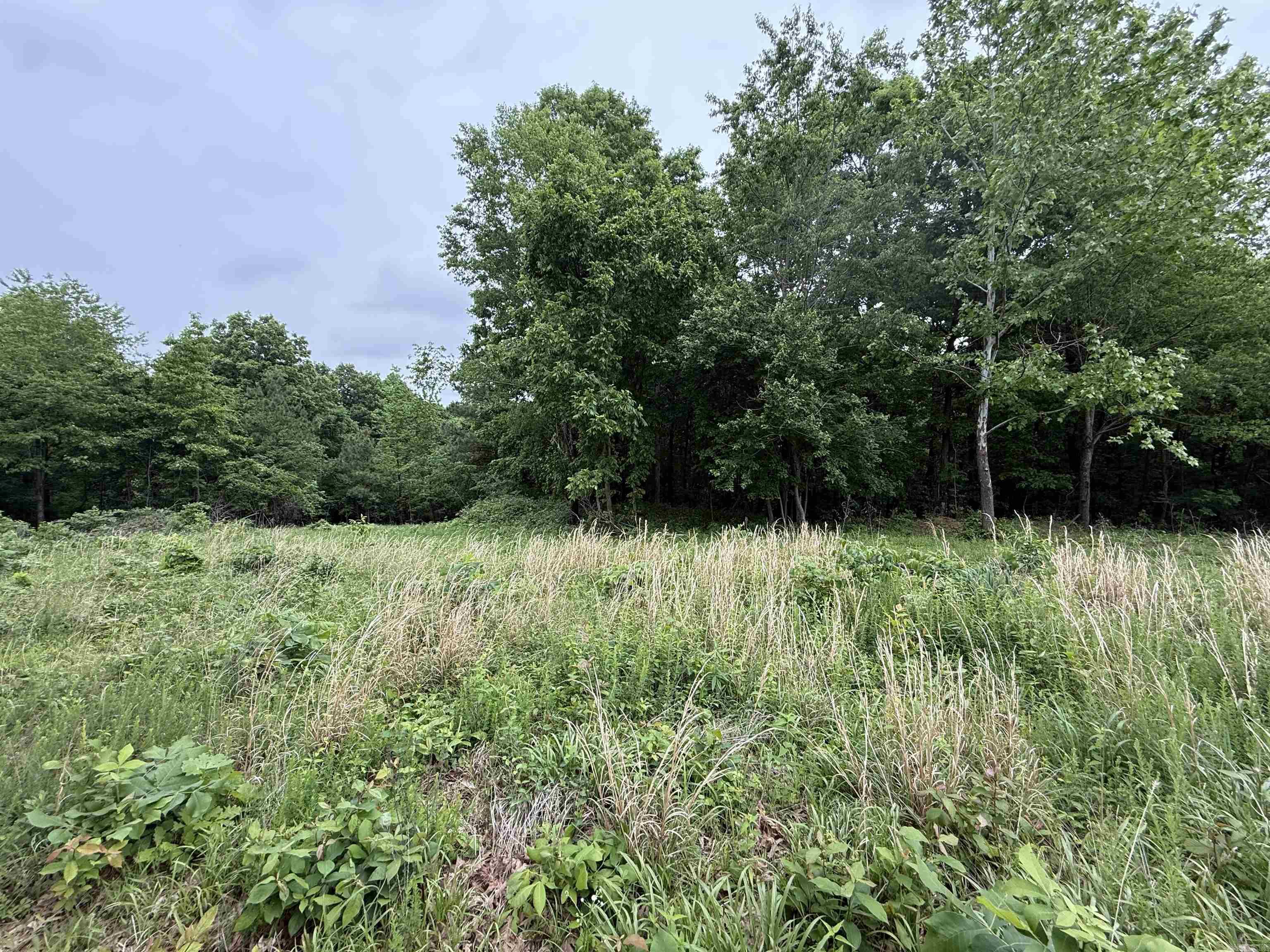 197 County 426  Rector, AR