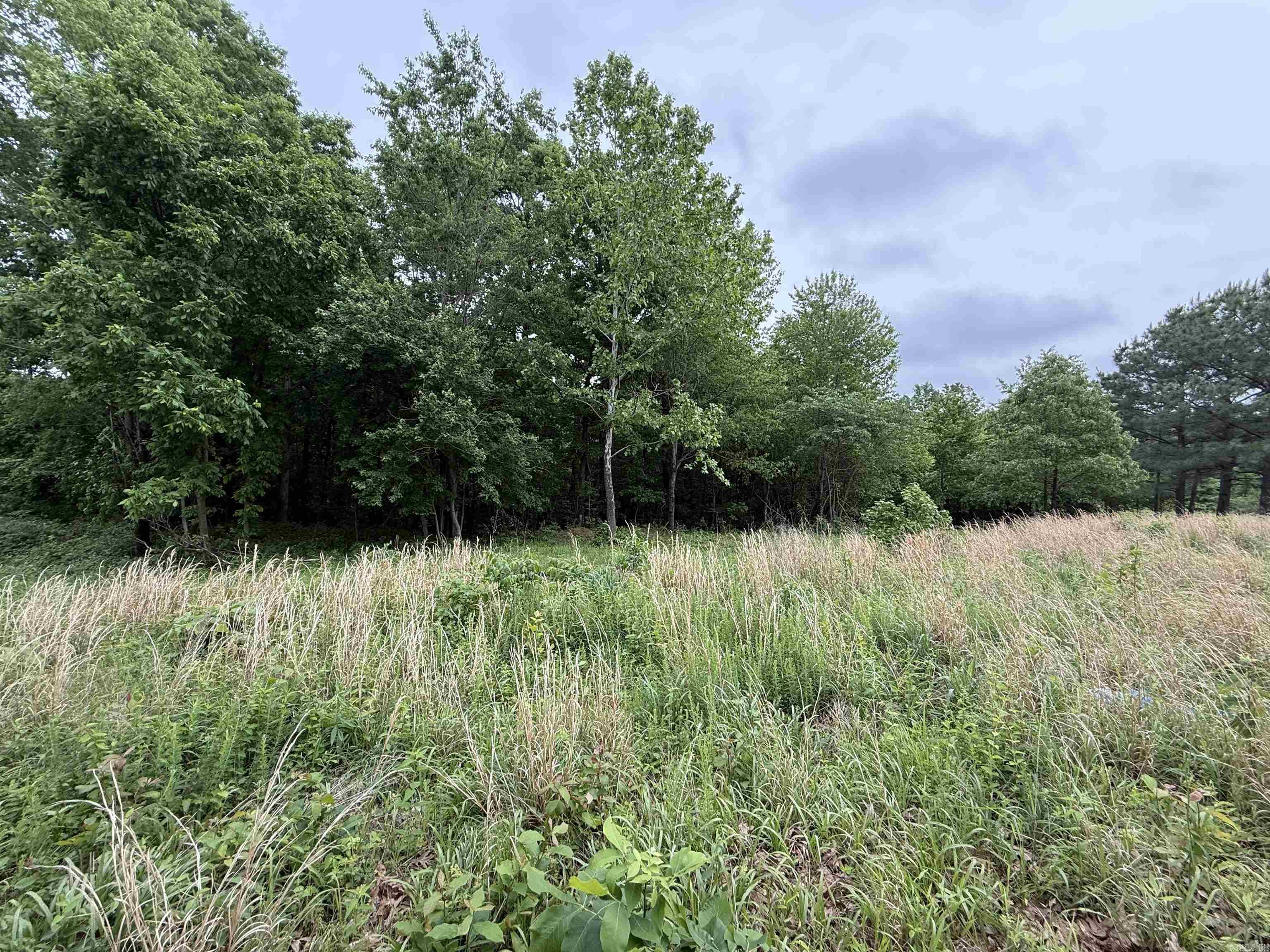 197 County 426  Rector, AR