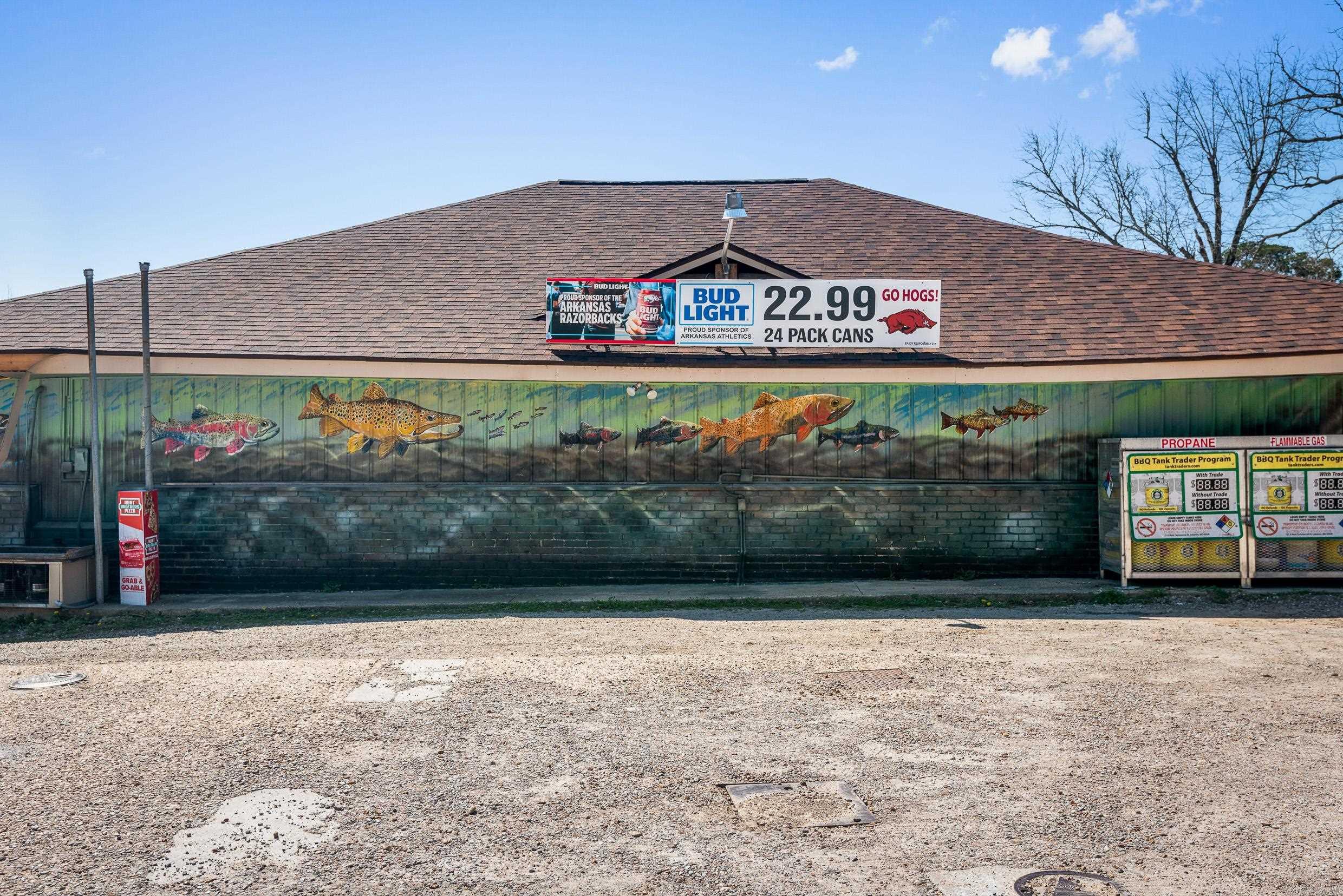 10842 S Hwy 5  Salesville, AR