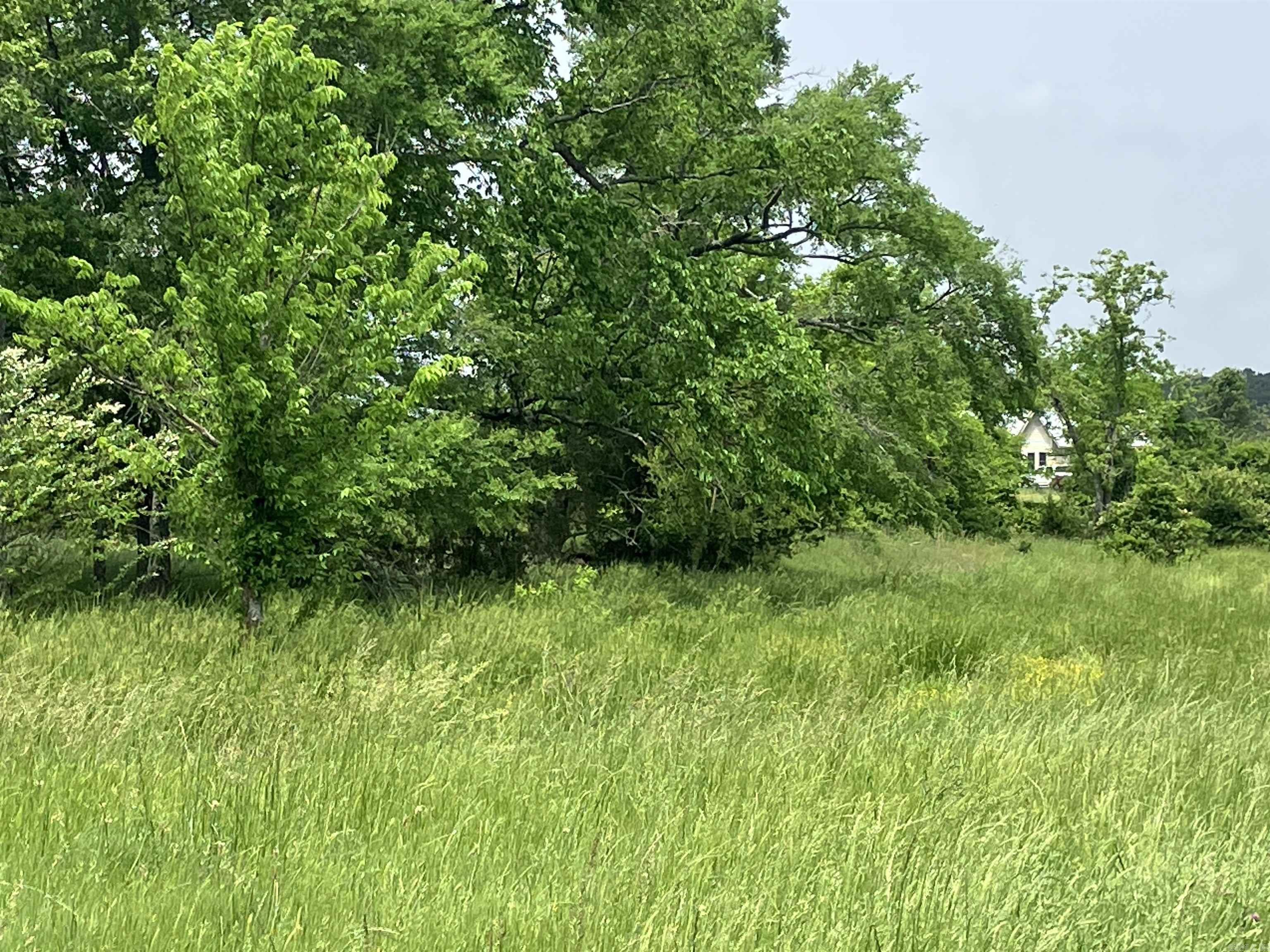 TBD Abernathy Rd.  Pencil Bluff, AR