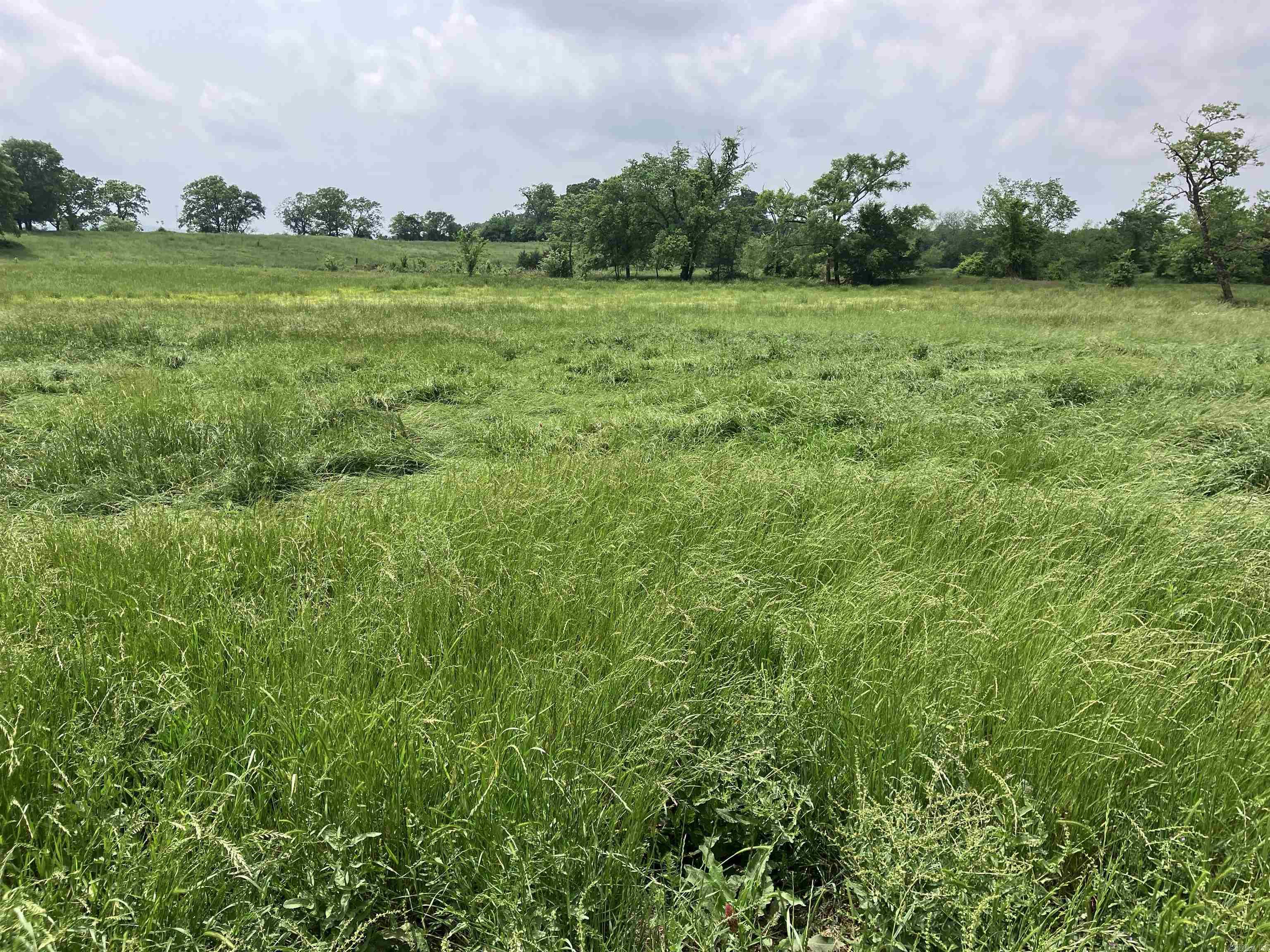 TBD Abernathy Rd.  Pencil Bluff, AR