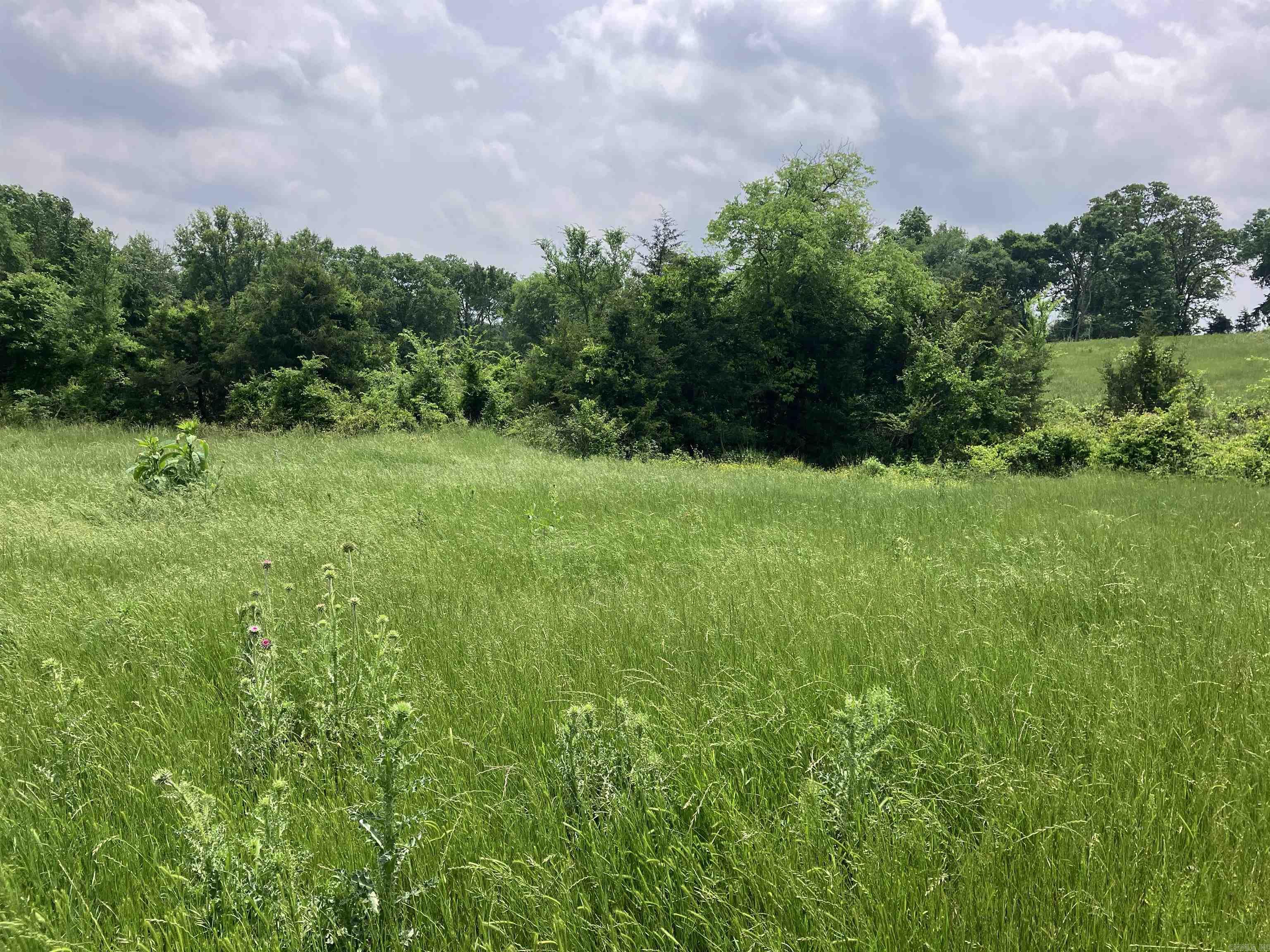 TBD Abernathy Rd.  Pencil Bluff, AR