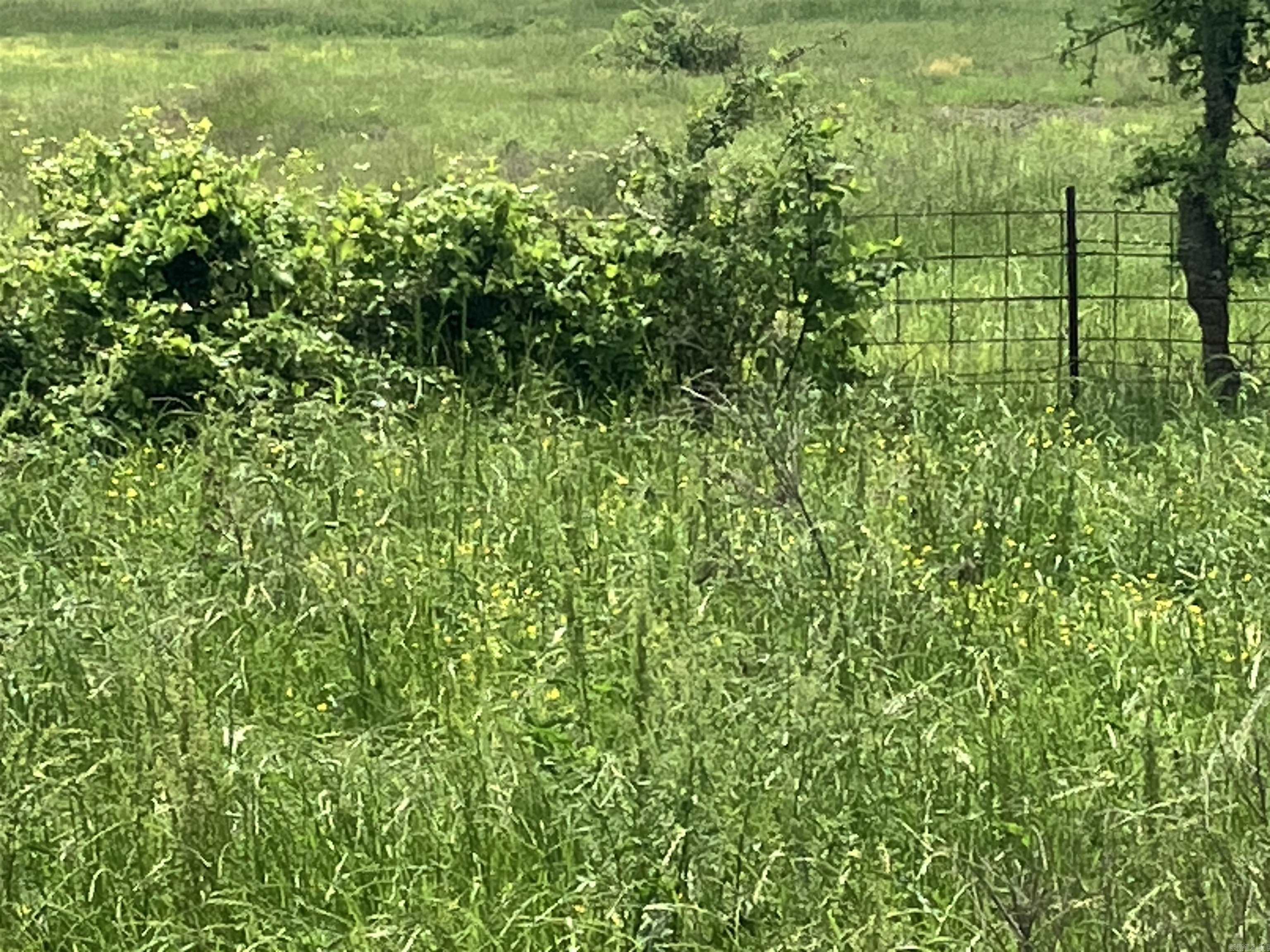 TBD Abernathy Rd.  Pencil Bluff, AR