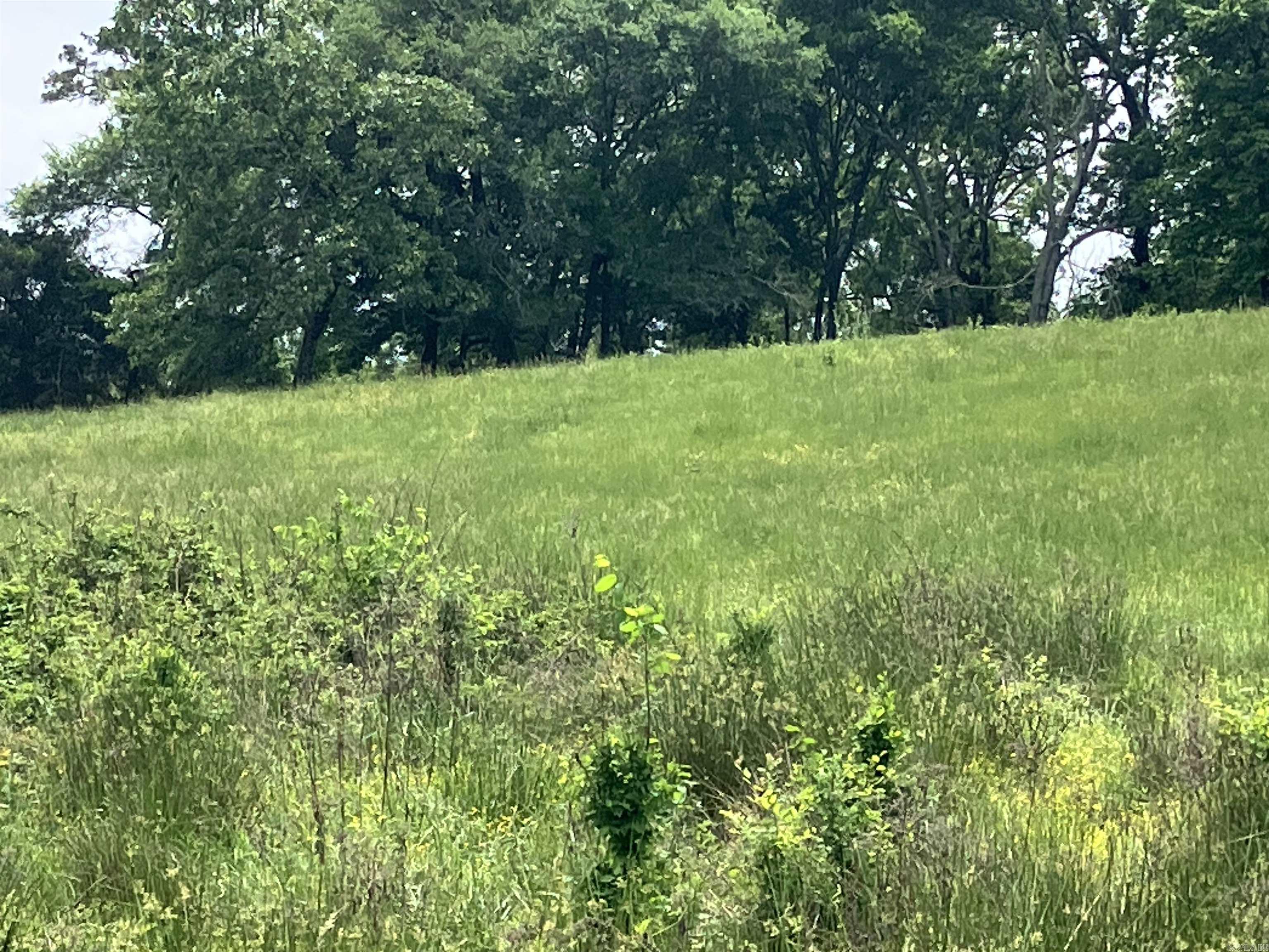 TBD Abernathy Rd.  Pencil Bluff, AR