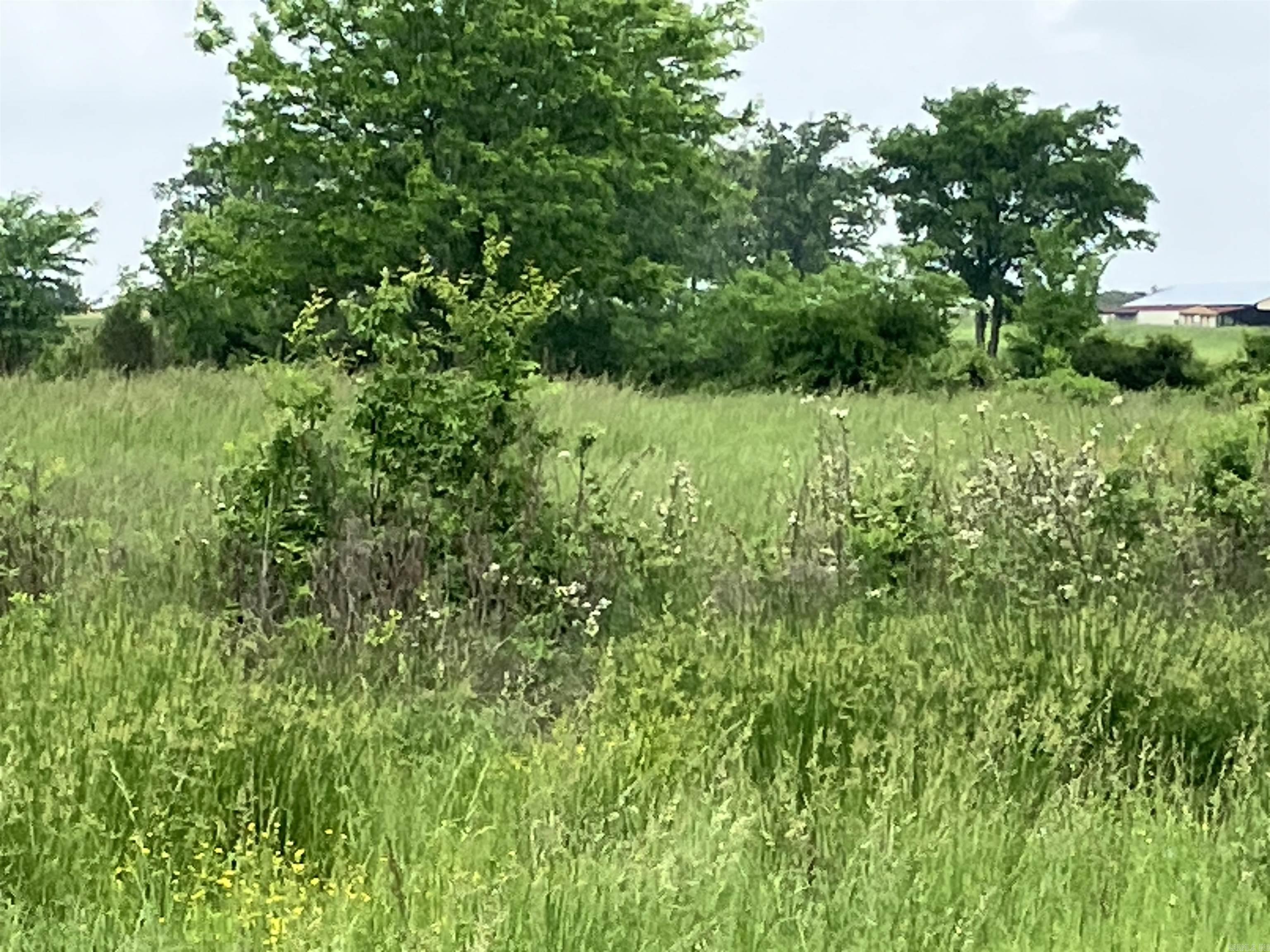 TBD Abernathy Rd.  Pencil Bluff, AR