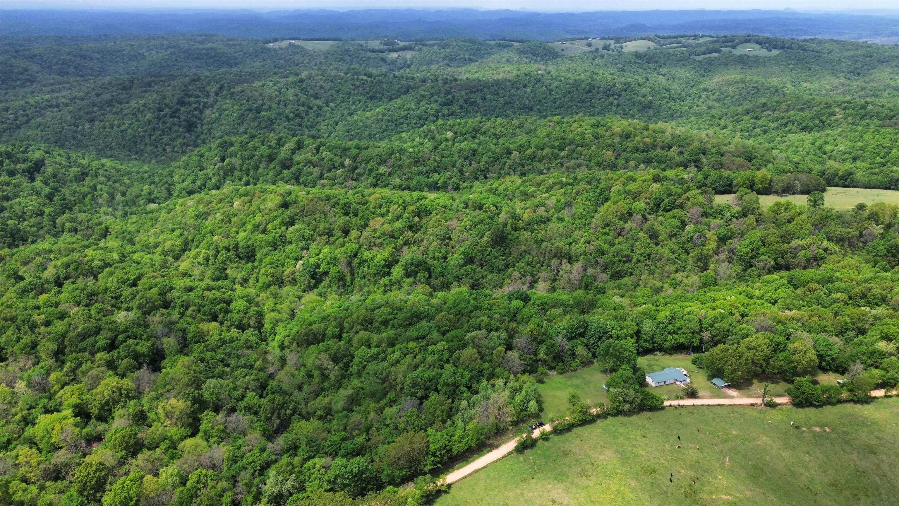 104A Williamson Trail  Guion, AR