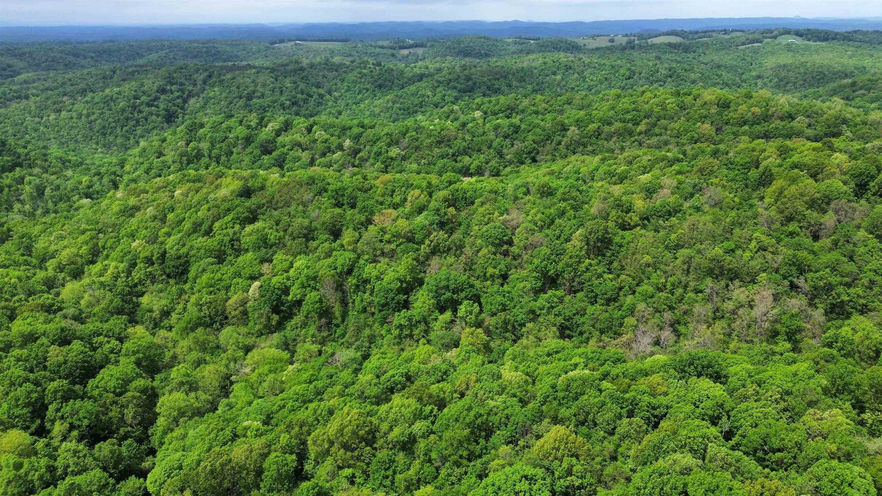 104A Williamson Trail  Guion, AR