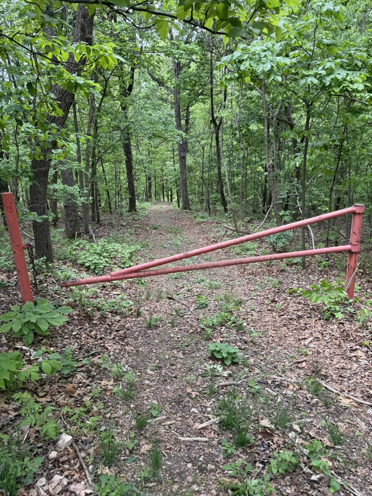 104A Williamson Trail  Guion, AR