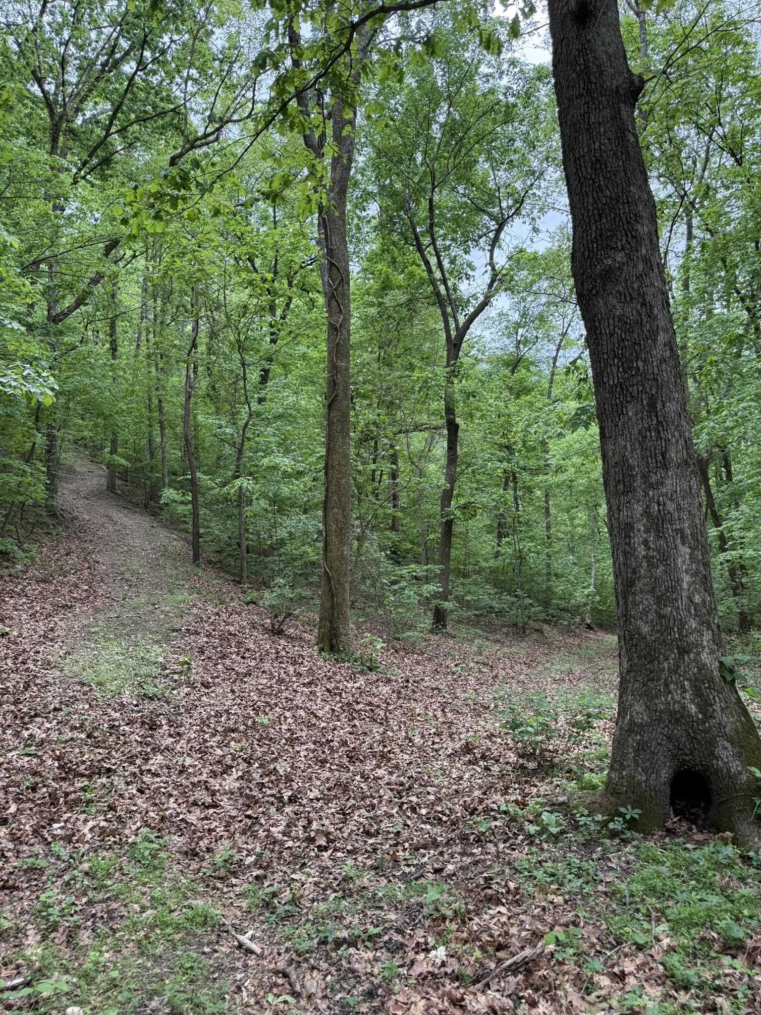 104A Williamson Trail  Guion, AR