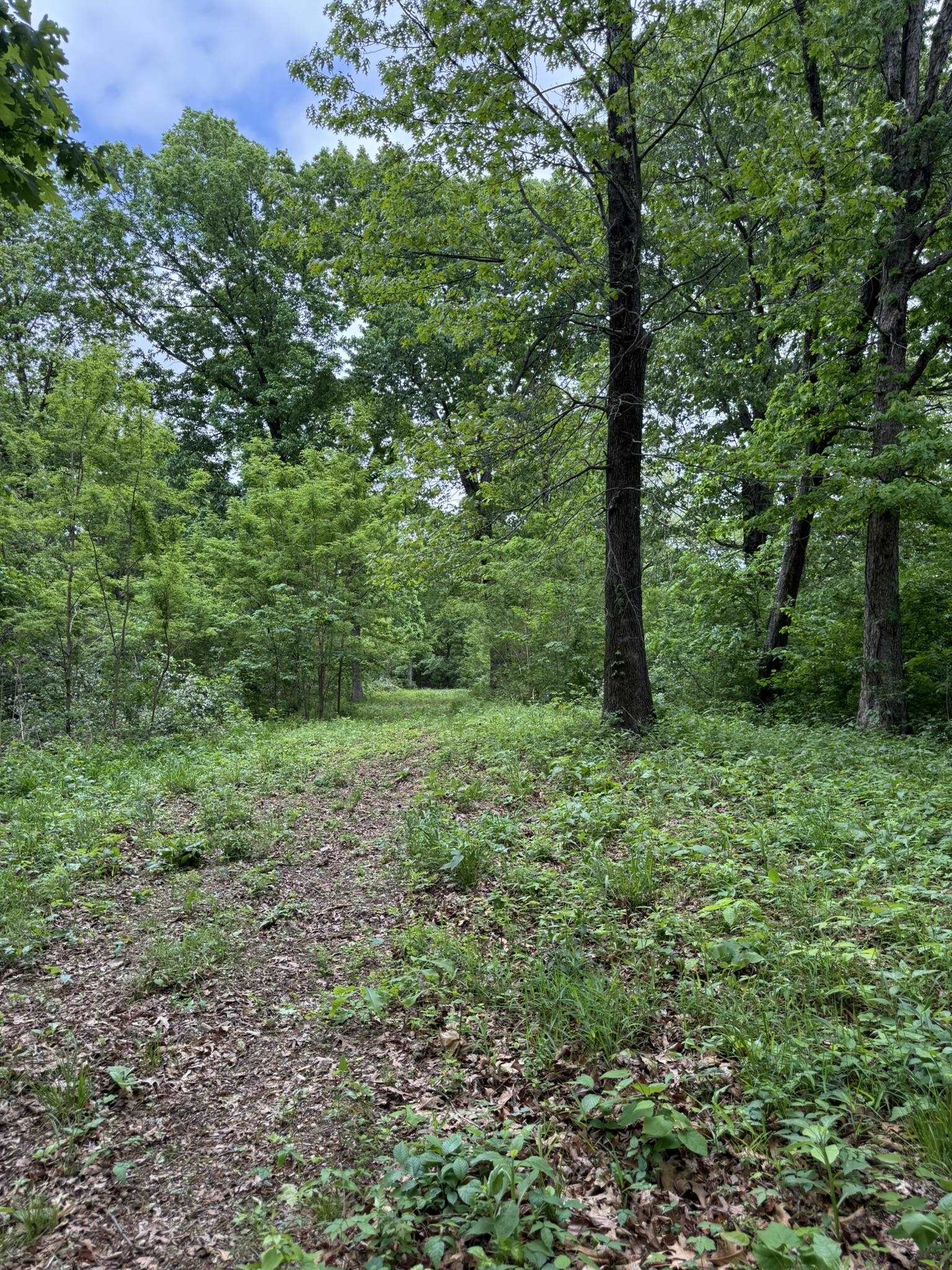 104A Williamson Trail  Guion, AR