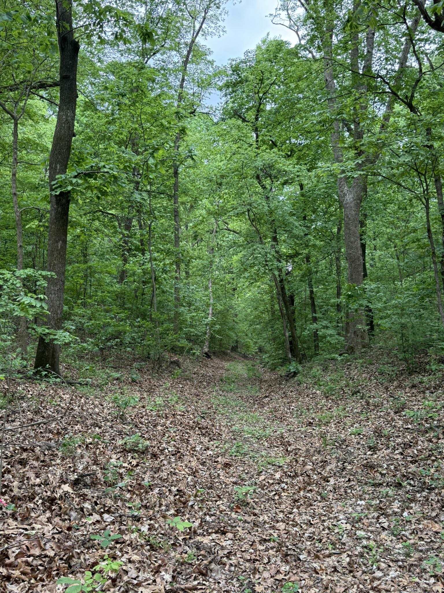 104A Williamson Trail  Guion, AR