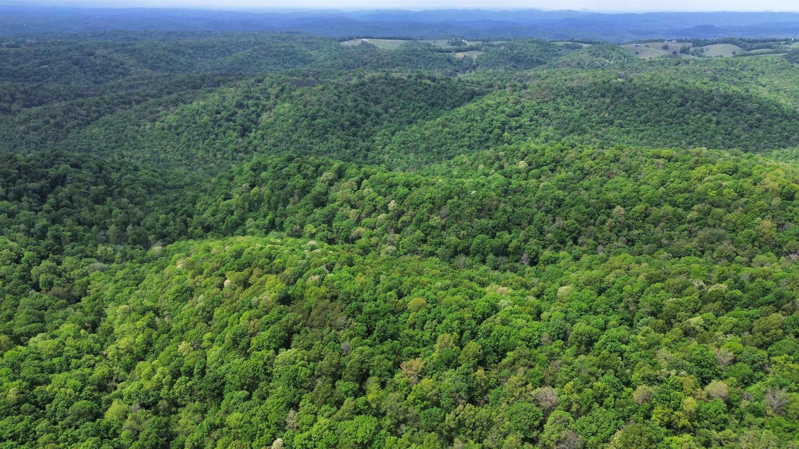 104A Williamson Trail  Guion, AR