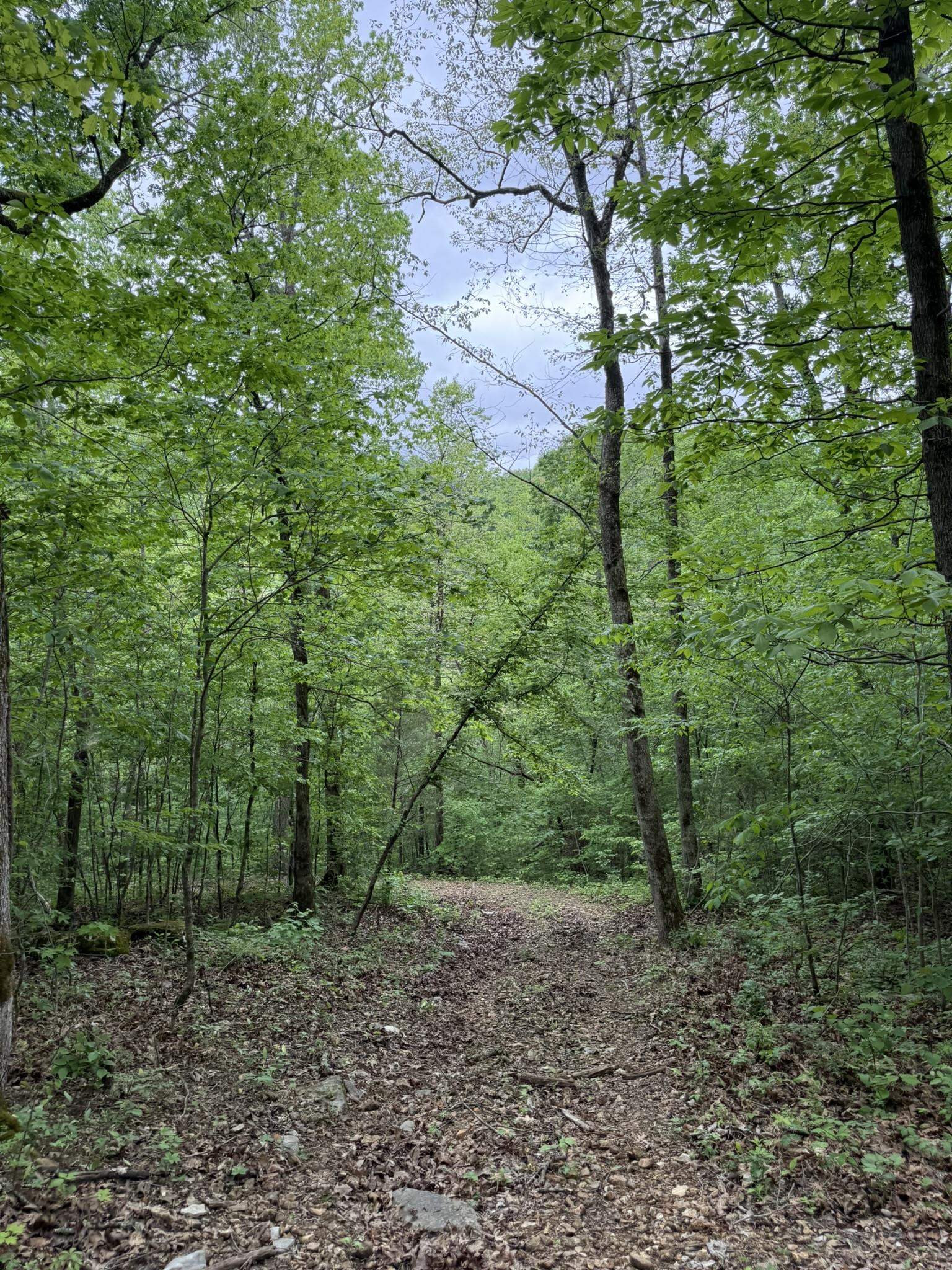 104A Williamson Trail  Guion, AR